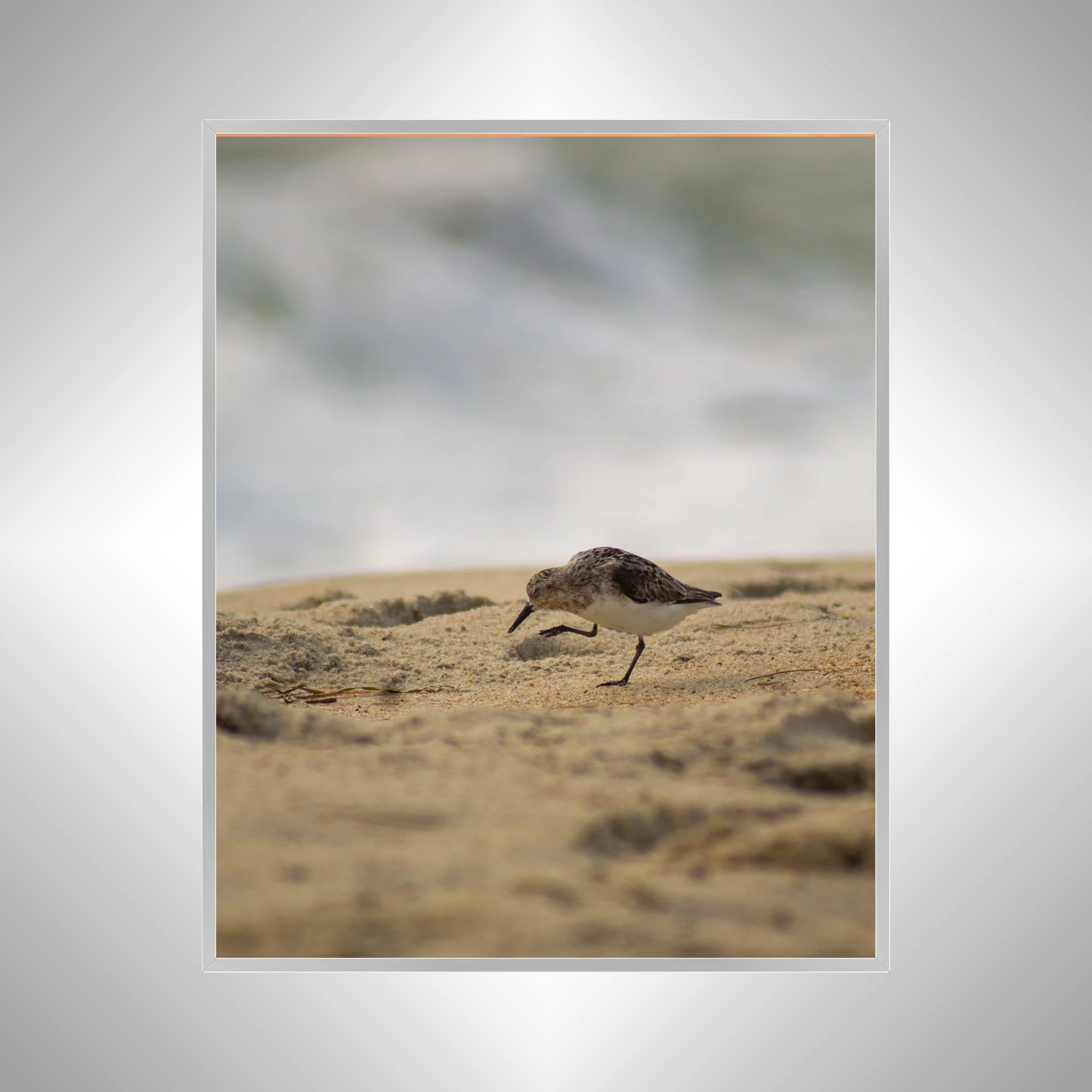 1:1 Itchy Willet- Silver Metal.jpg