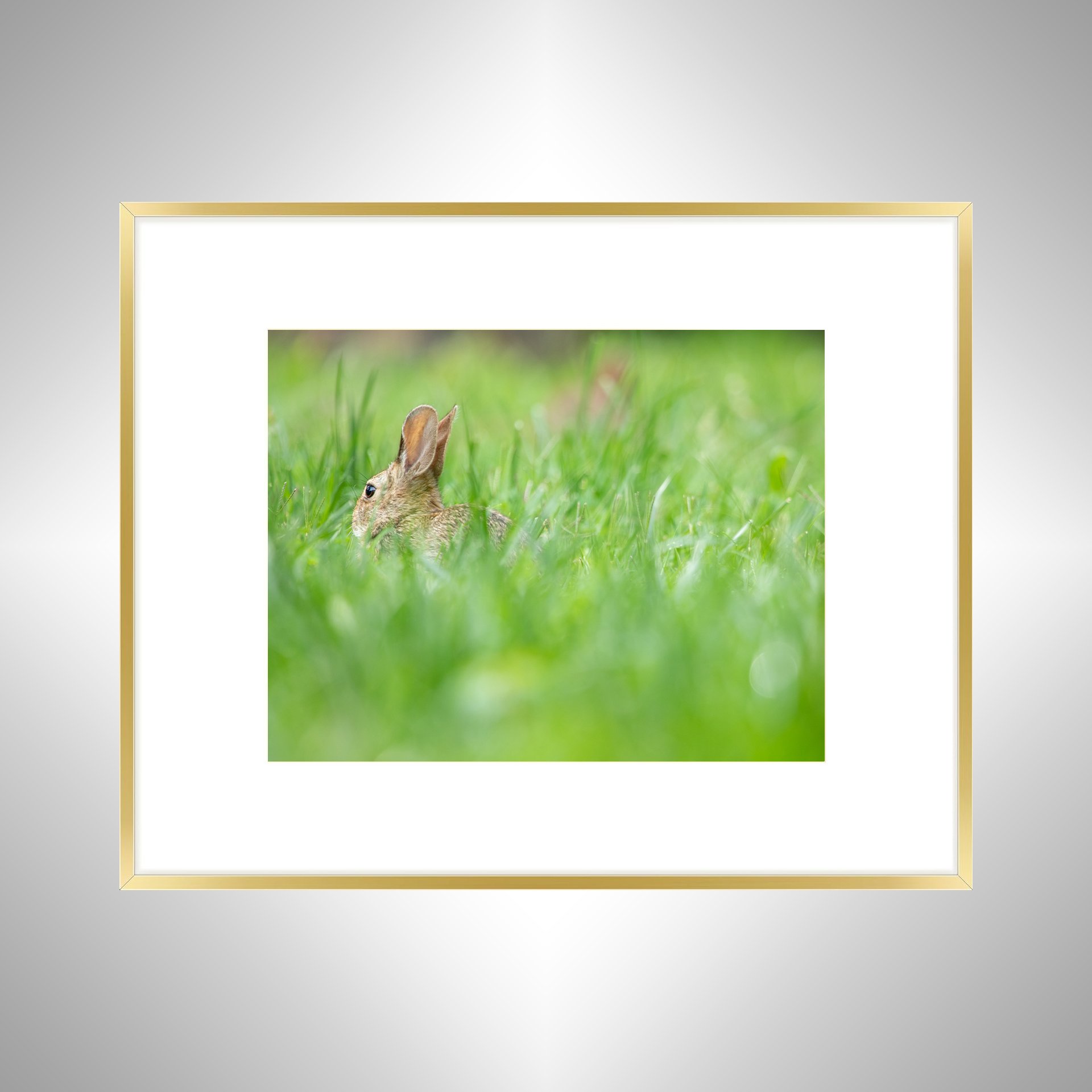1:1 Rabbit in Grass- Gold w: Border.jpg