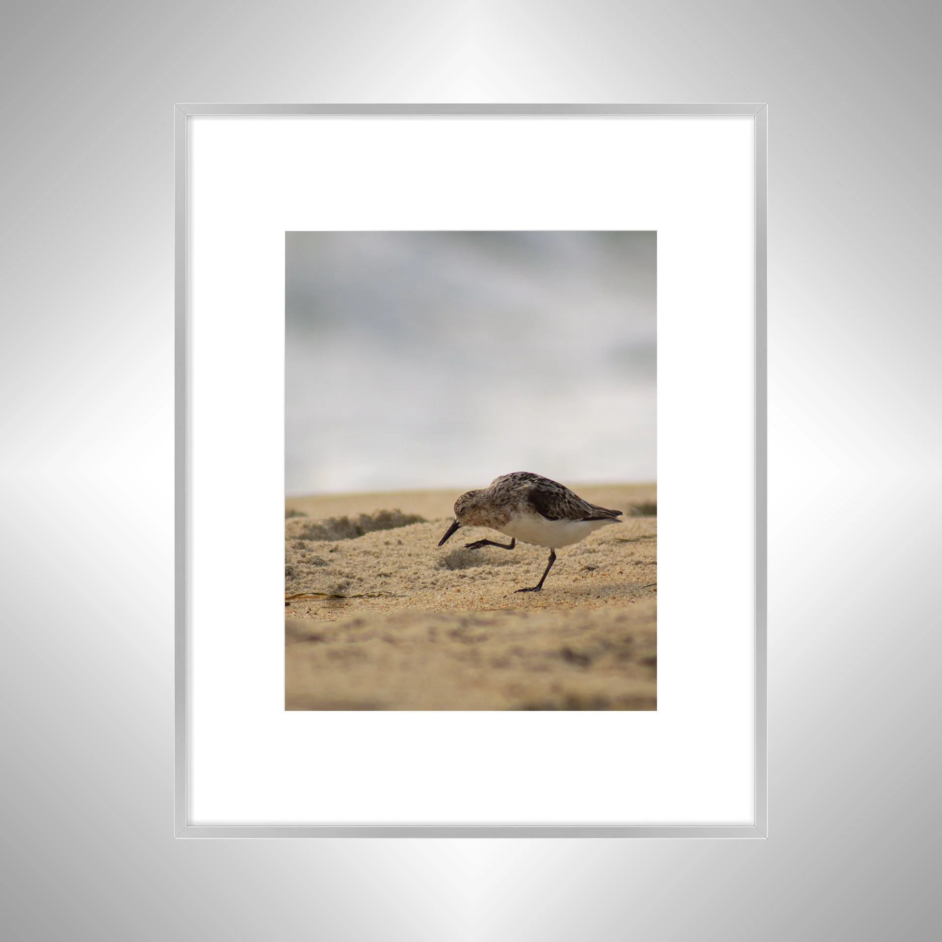 1:1 Itchy Willet- Silver Metal w: Border.jpg
