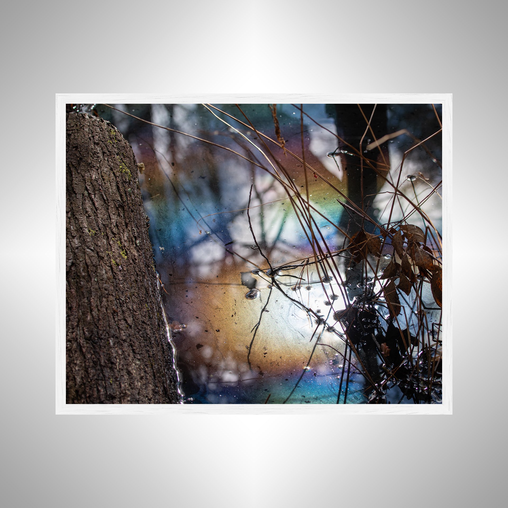 1:1 Rainbow Water at First Landing- White.jpg