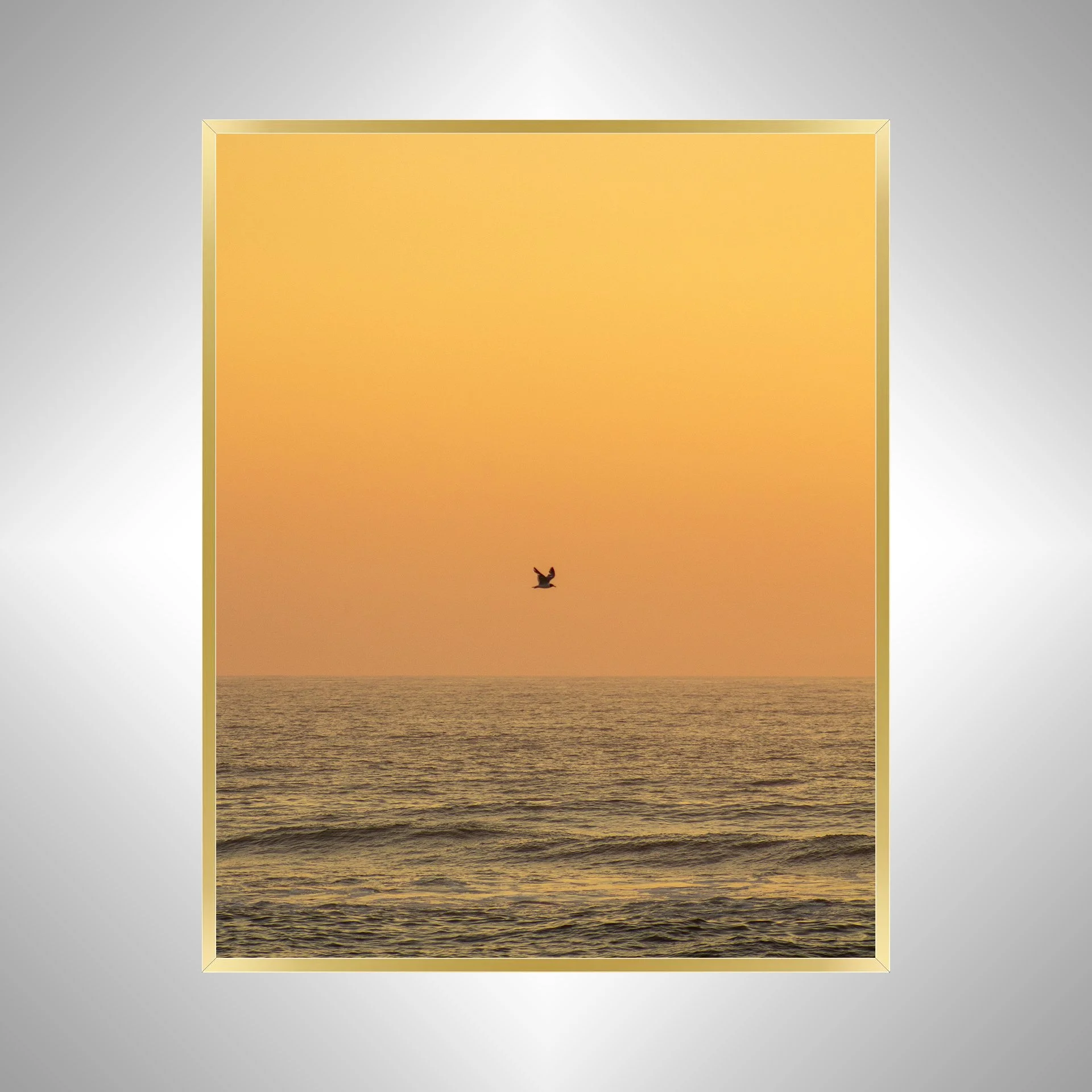 1:10 Sunrise Soaring Seagull-g.jpg
