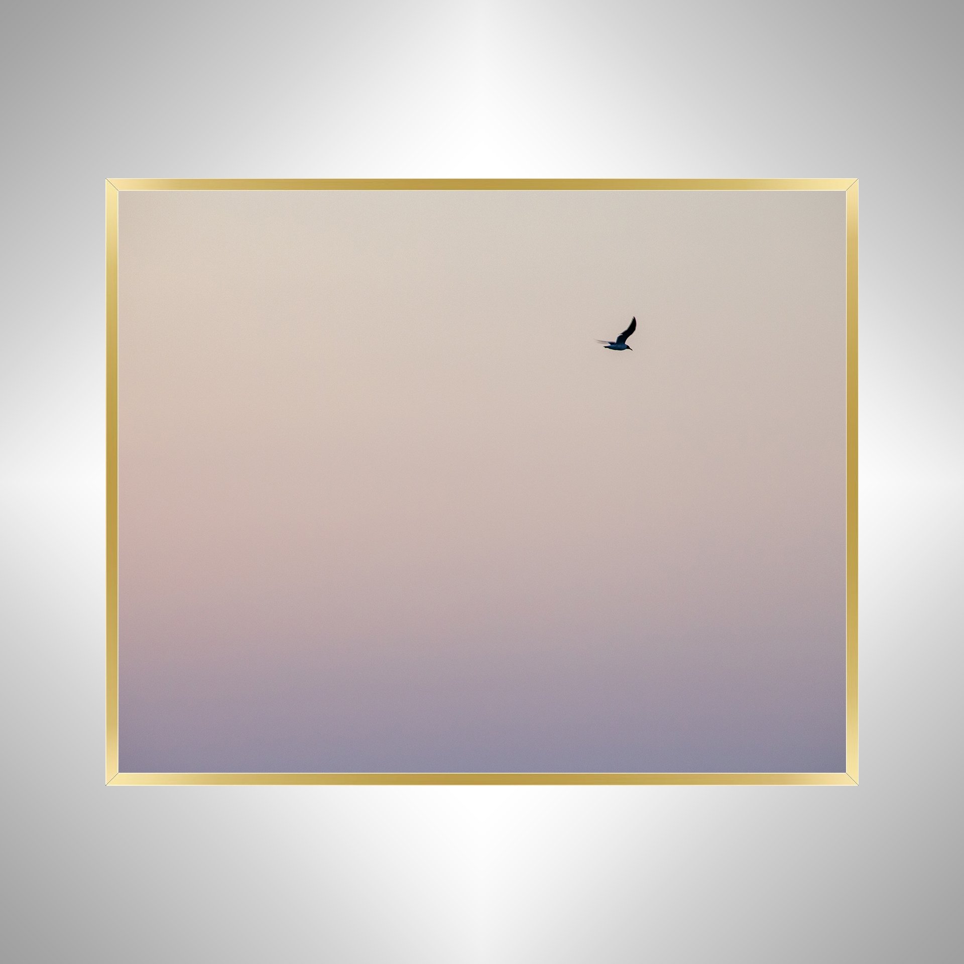 1:1 Seagull Flying on Pink Gradient- Gold.jpg