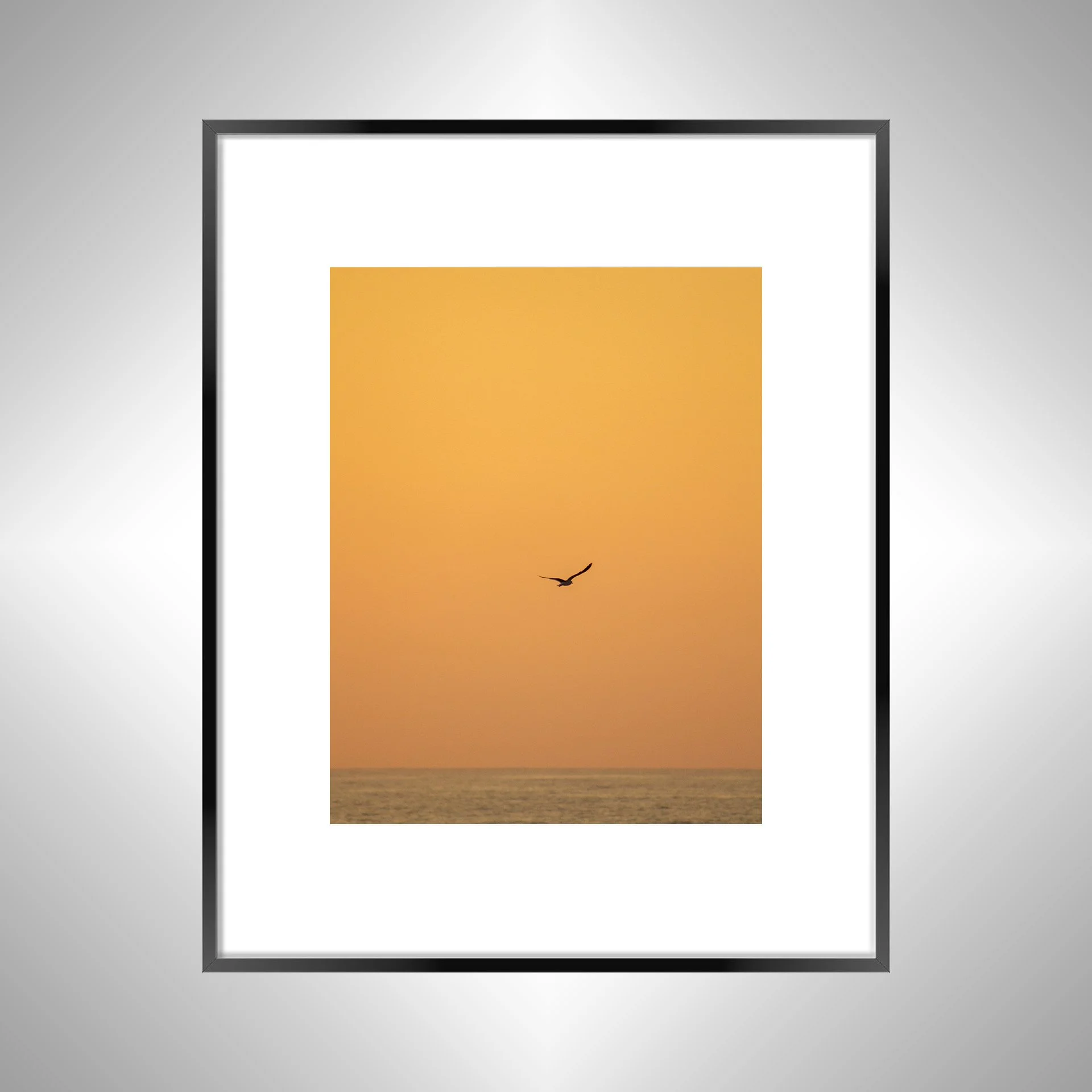 1:10 Seagull Flying on Ocean- Black w: Border.jpg