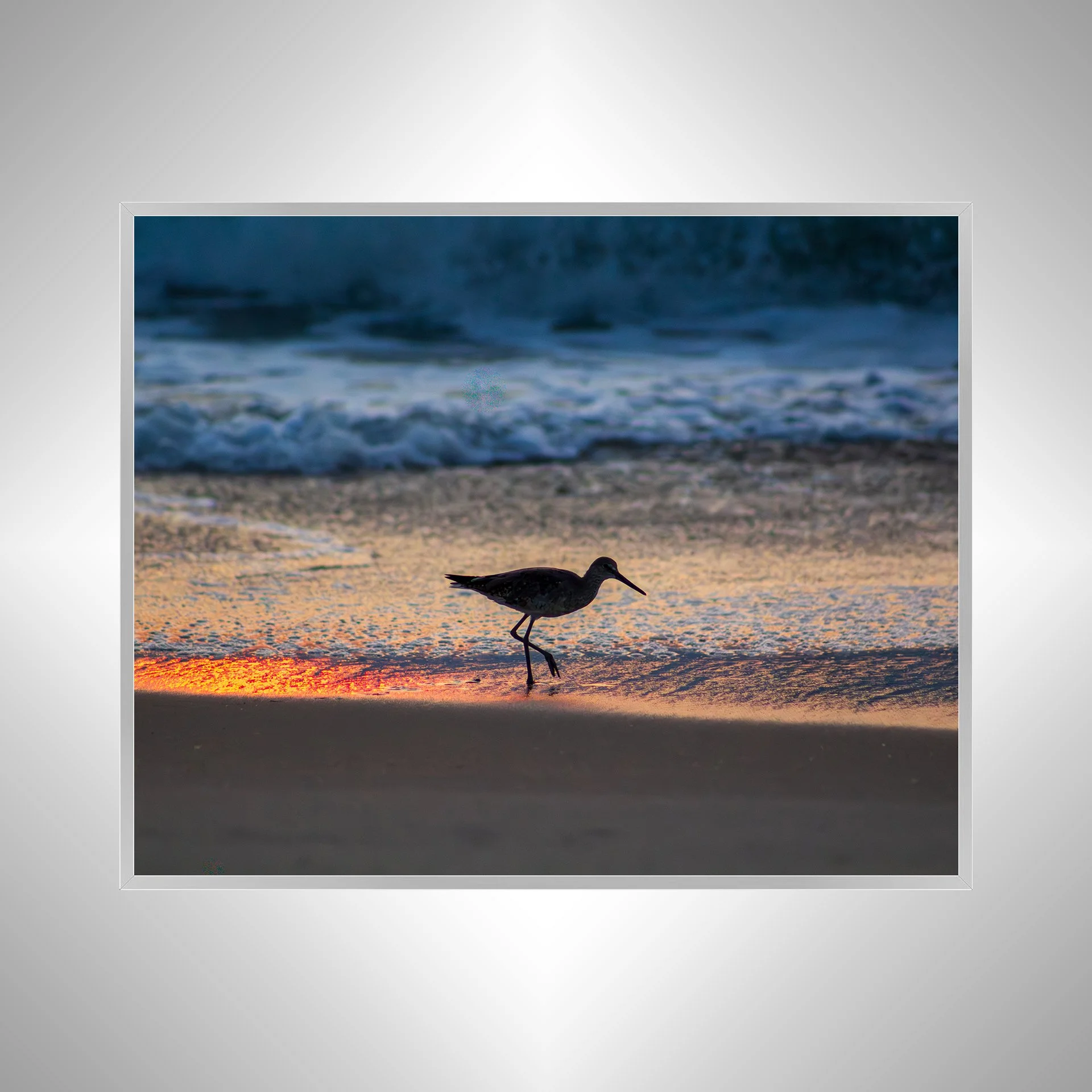 1:1 Willet Step- Silver.jpg