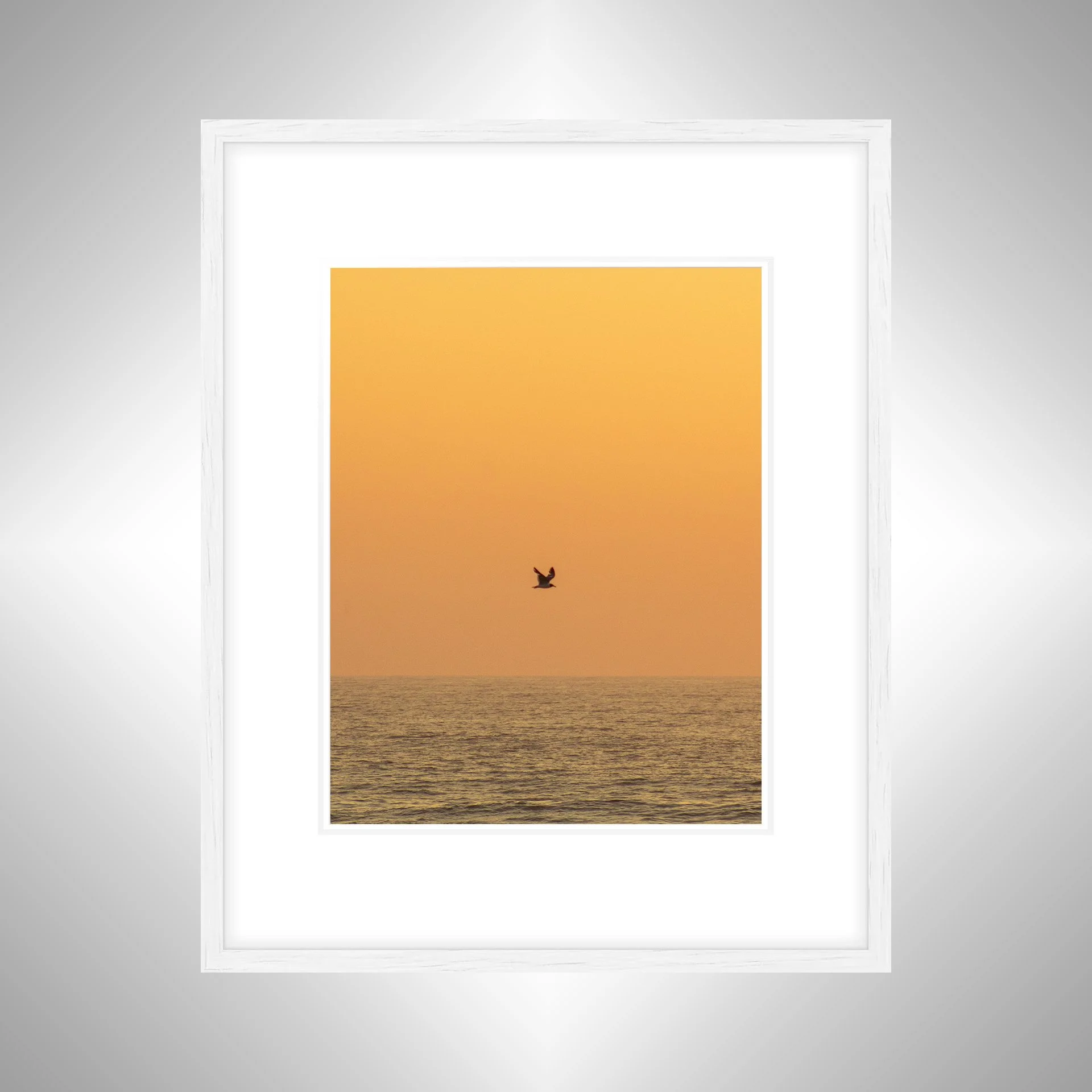 1:10 Sunrise Soaring Seagull-wwb.jpg