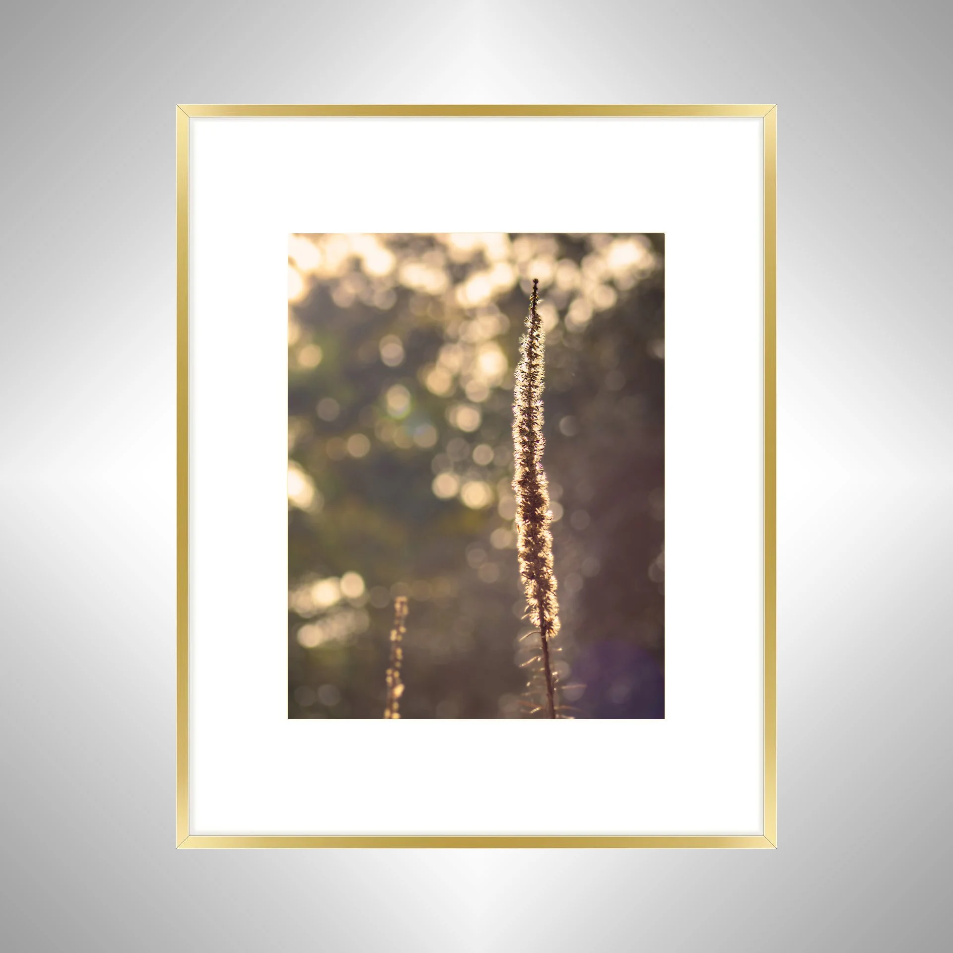 1:1 Foxglove in Winter- Gold Metal w: Border.jpg