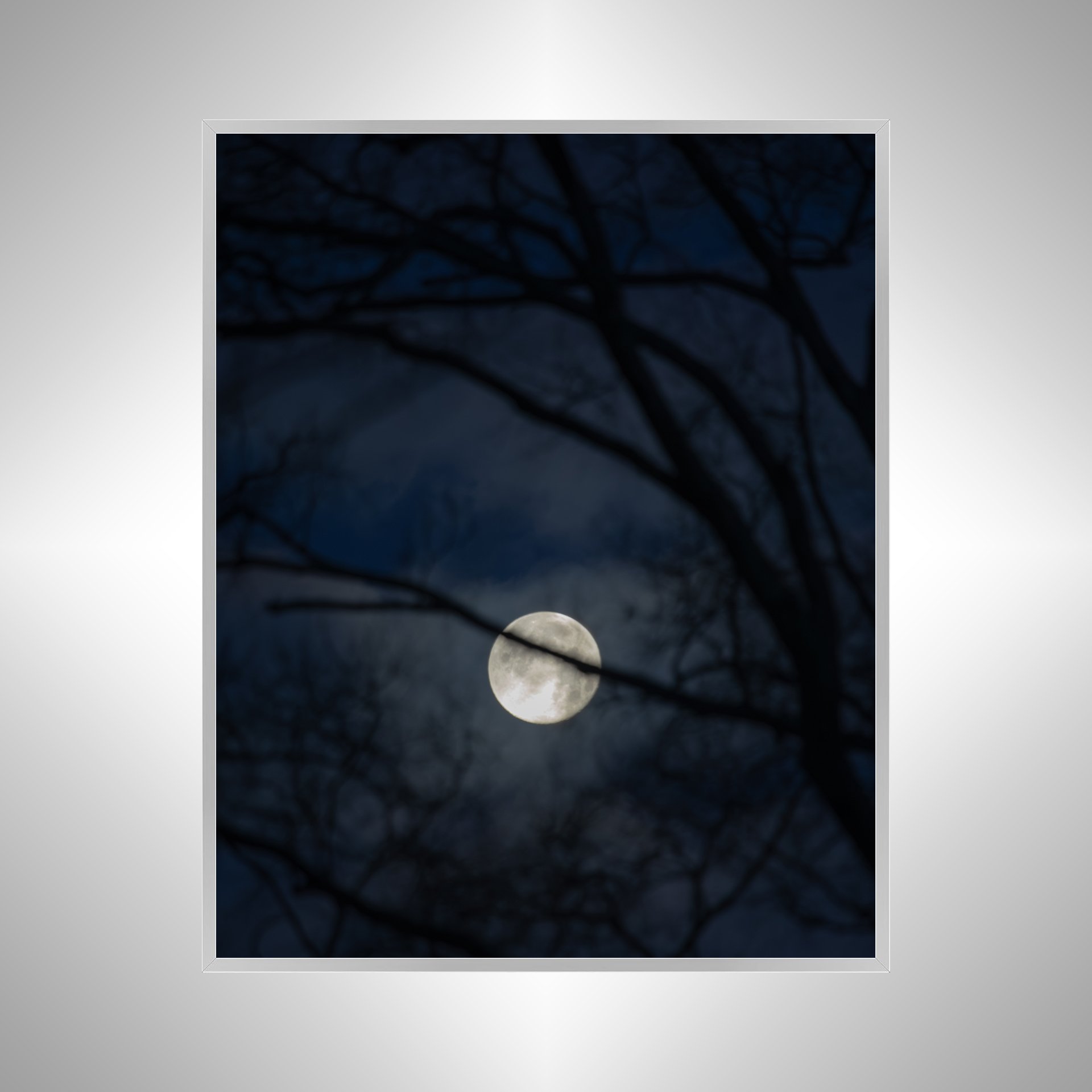 1:10 Moon thru Tree Branches- Silver.jpg