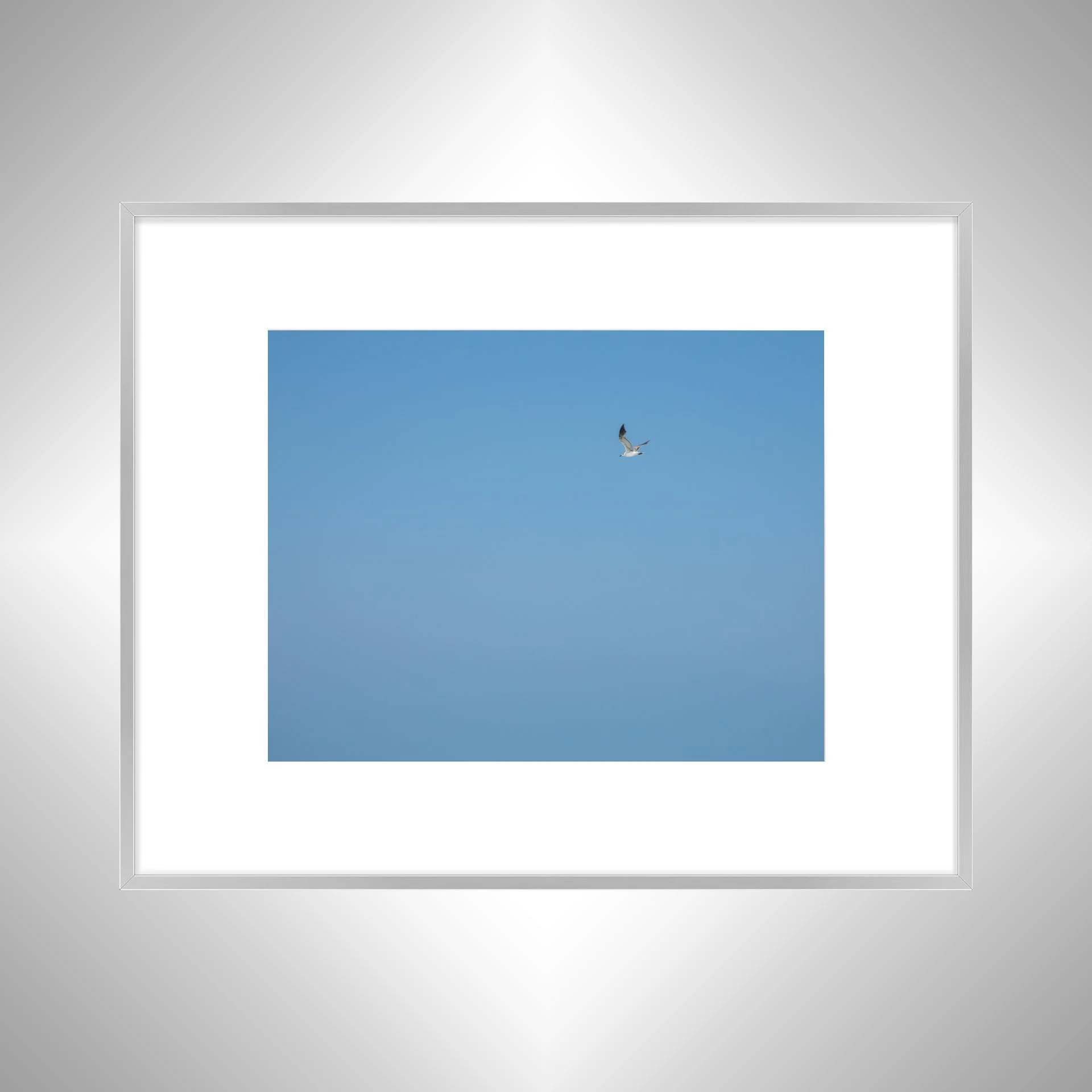 1:10 Blue Sky Seagull- Silver w: Border.jpg