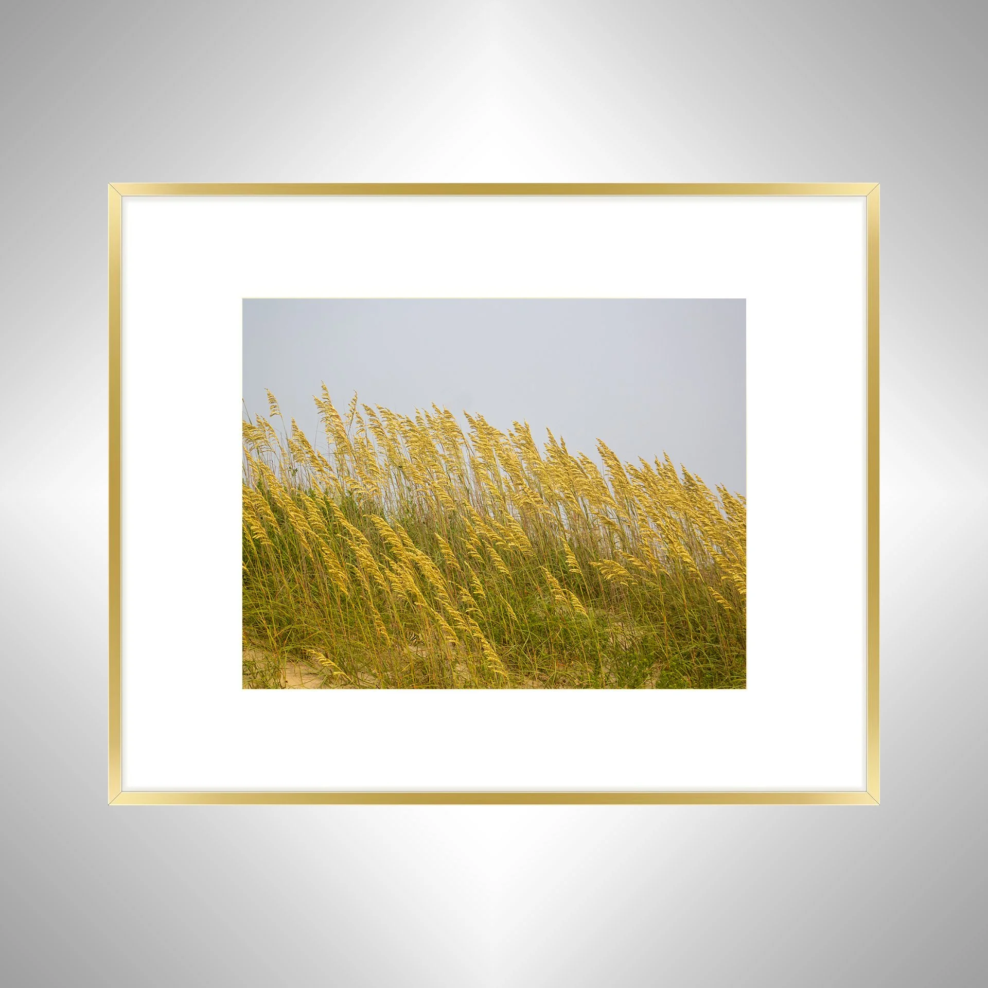 1:1 Rodanthe Dune Oats (Landscape)- Gold w: Border.jpg