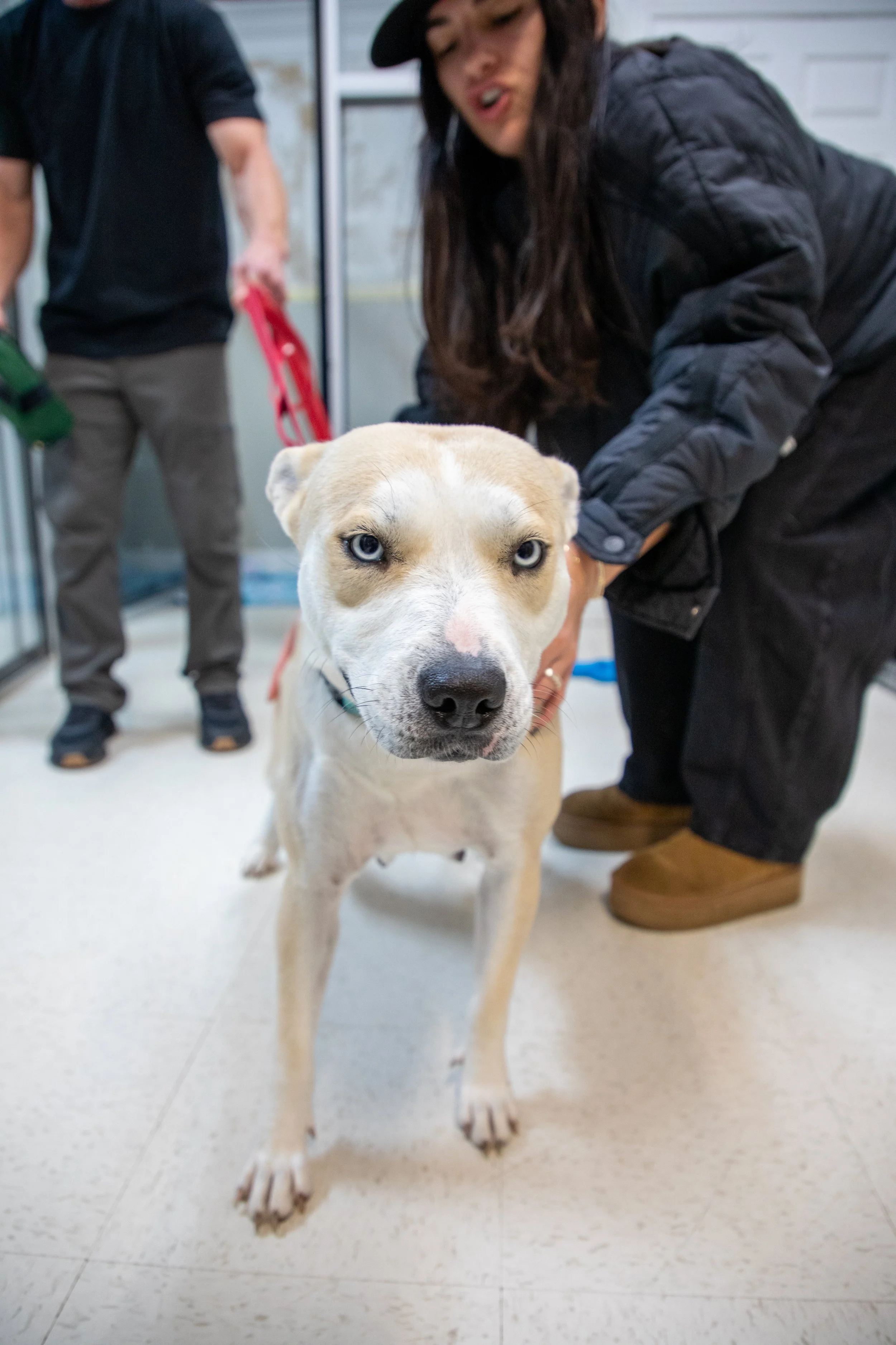 Will Locke Pet Photography- Hope For Life 12:28:2025 Missy3.jpg