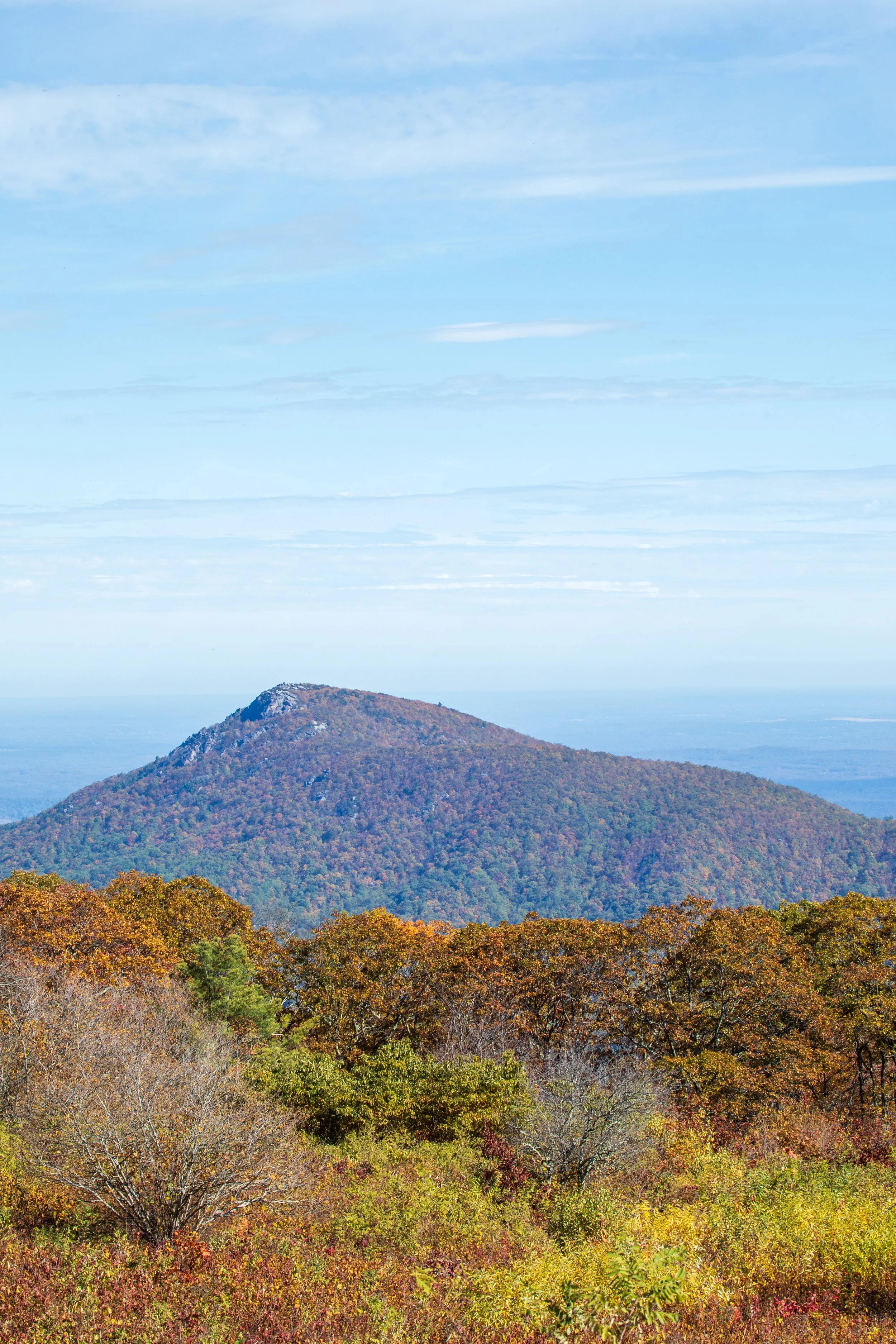 1:10 Shenandoah Mountain at Early Fall (Portrait).jpg
