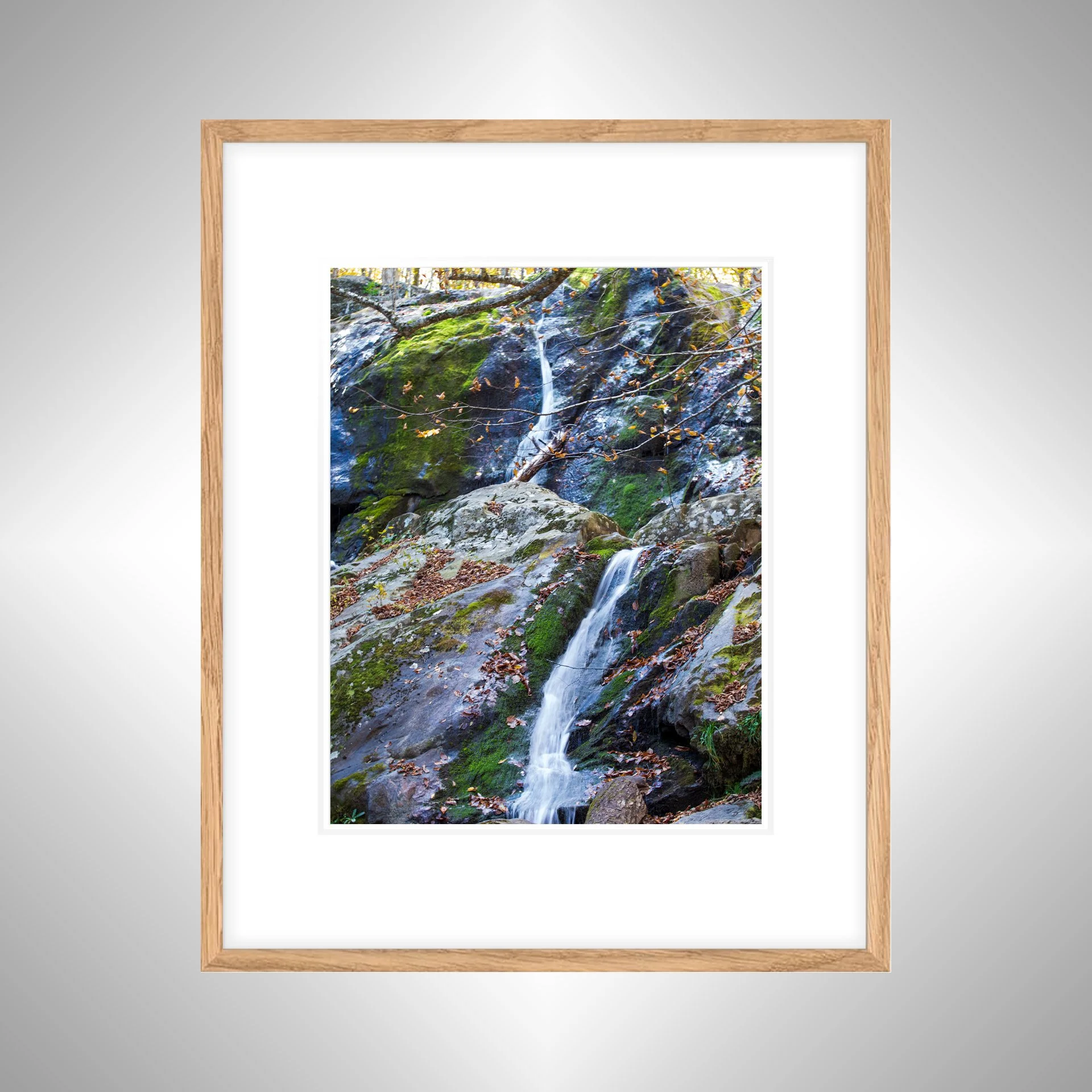 1:1 Shenandoah National Park, Dark Hollow Falls Waterfall- White w: Border copy NATTY.jpg