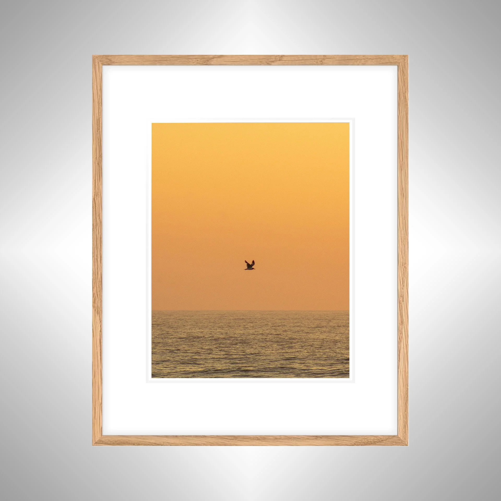 1:10 Sunrise Soaring Seagull-wwb NATTY WB.jpg