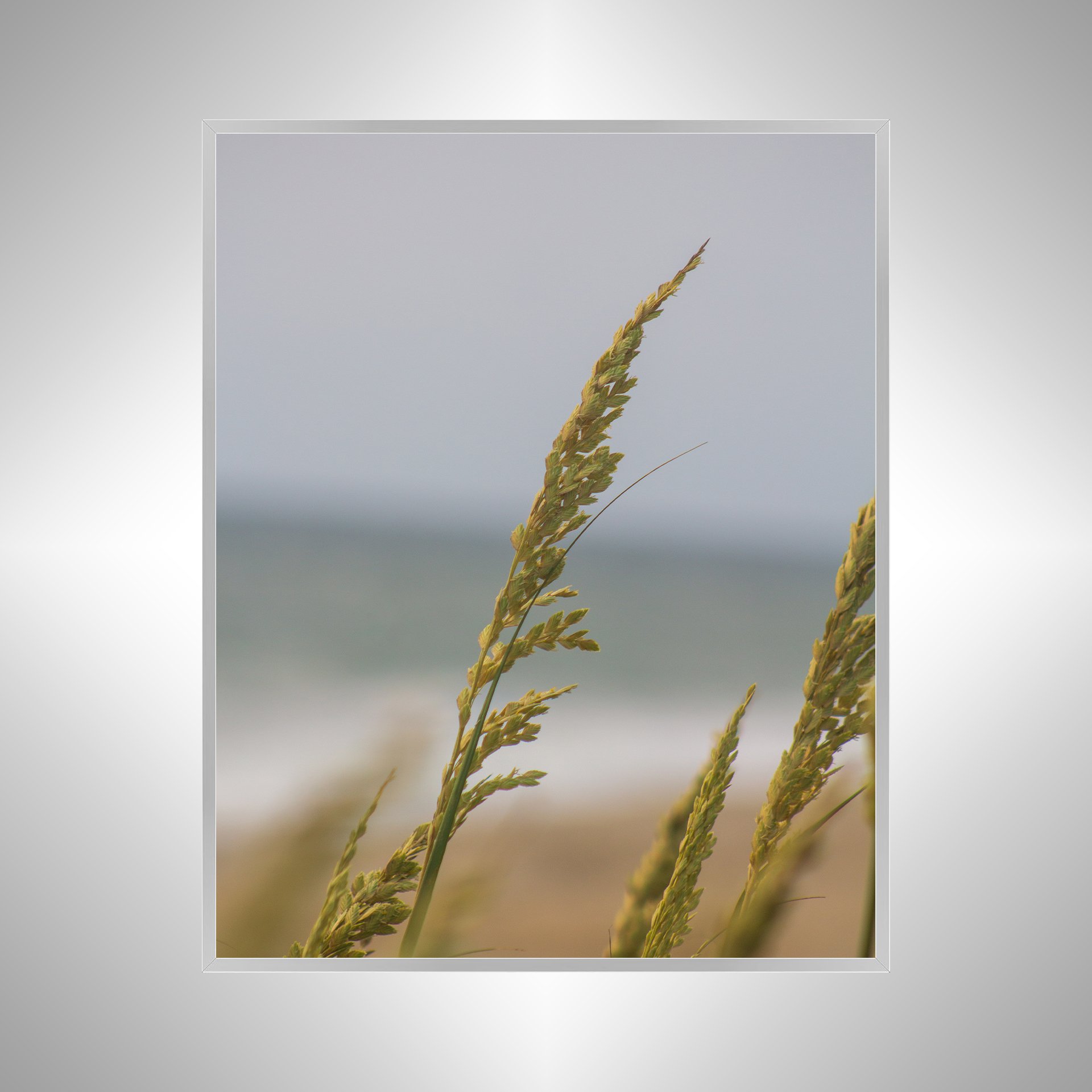 1:1 Rodanthe Dune Oats Single- Silver.jpg