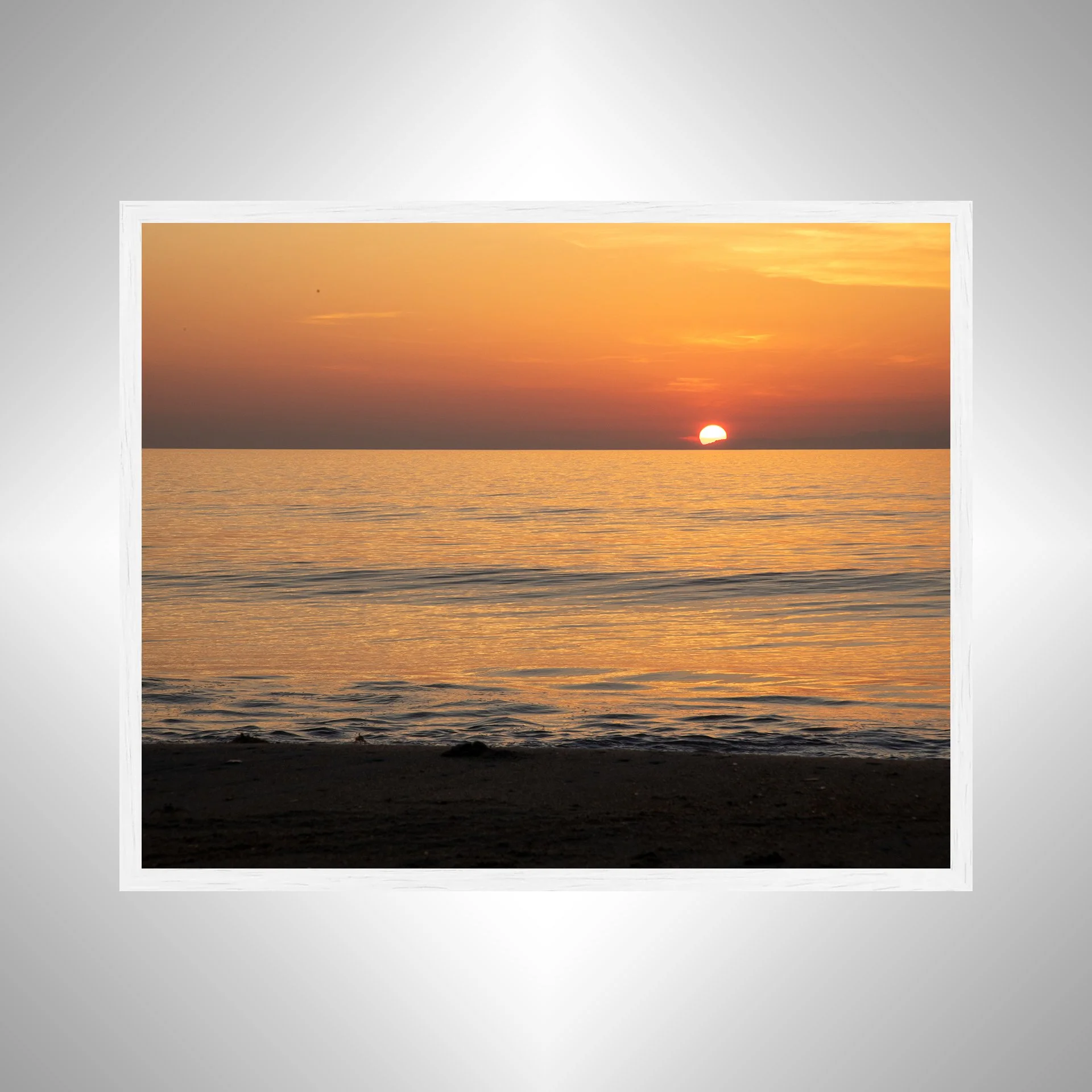 1:1 Crab Watching Horizon in Duck, NC- White Wood.jpg