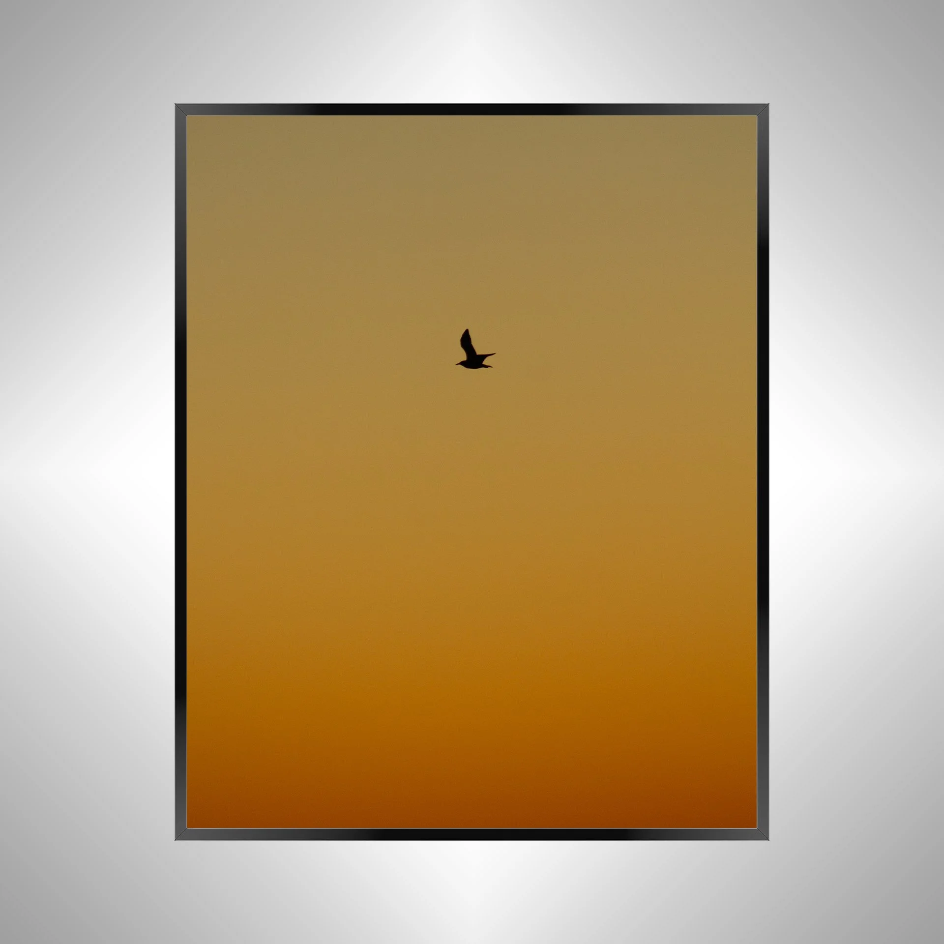 1/1 Seagull Silhouette Soaring North with Orange Gradient