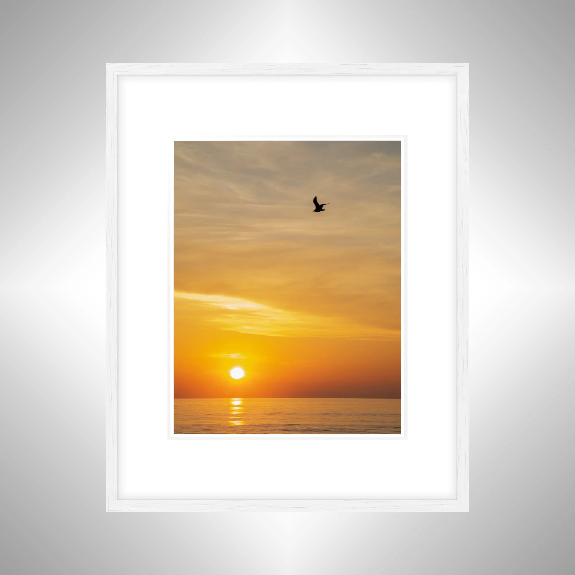 1:1 Seagull Sunrise- White w: Border.jpg