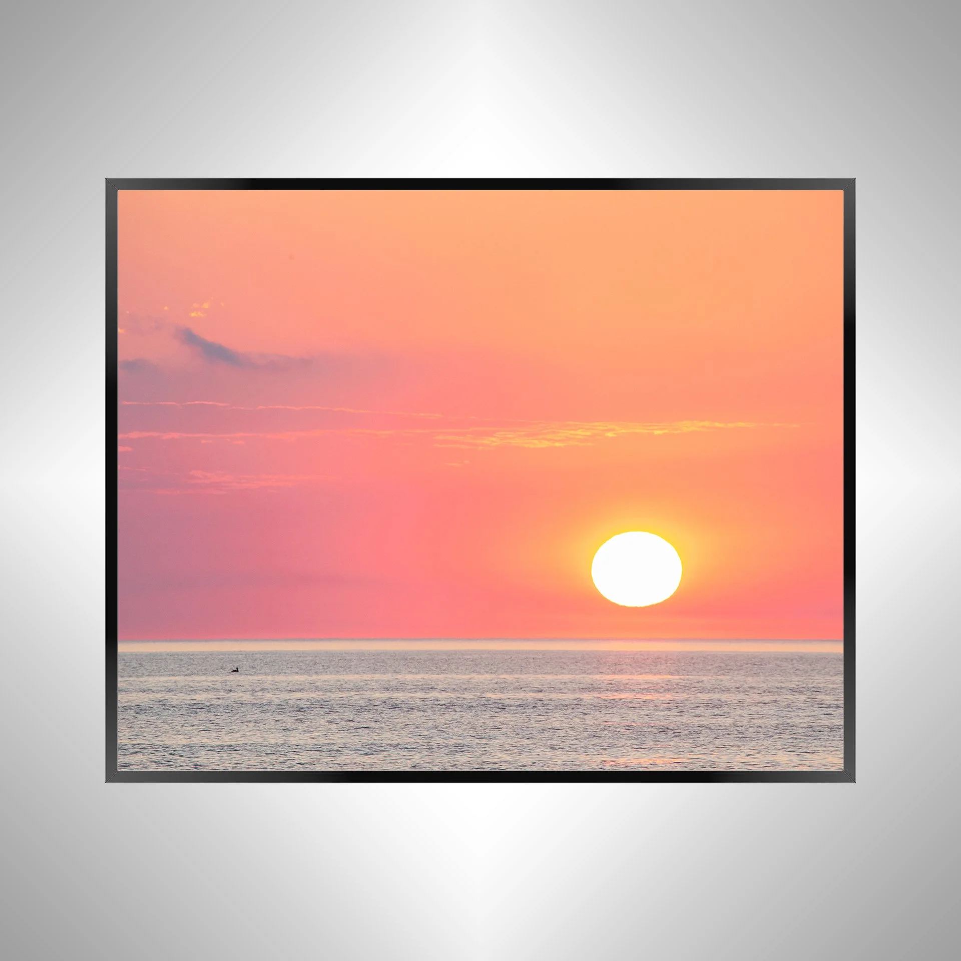 1/1 Pelican Watching Sunrise (Landscape)