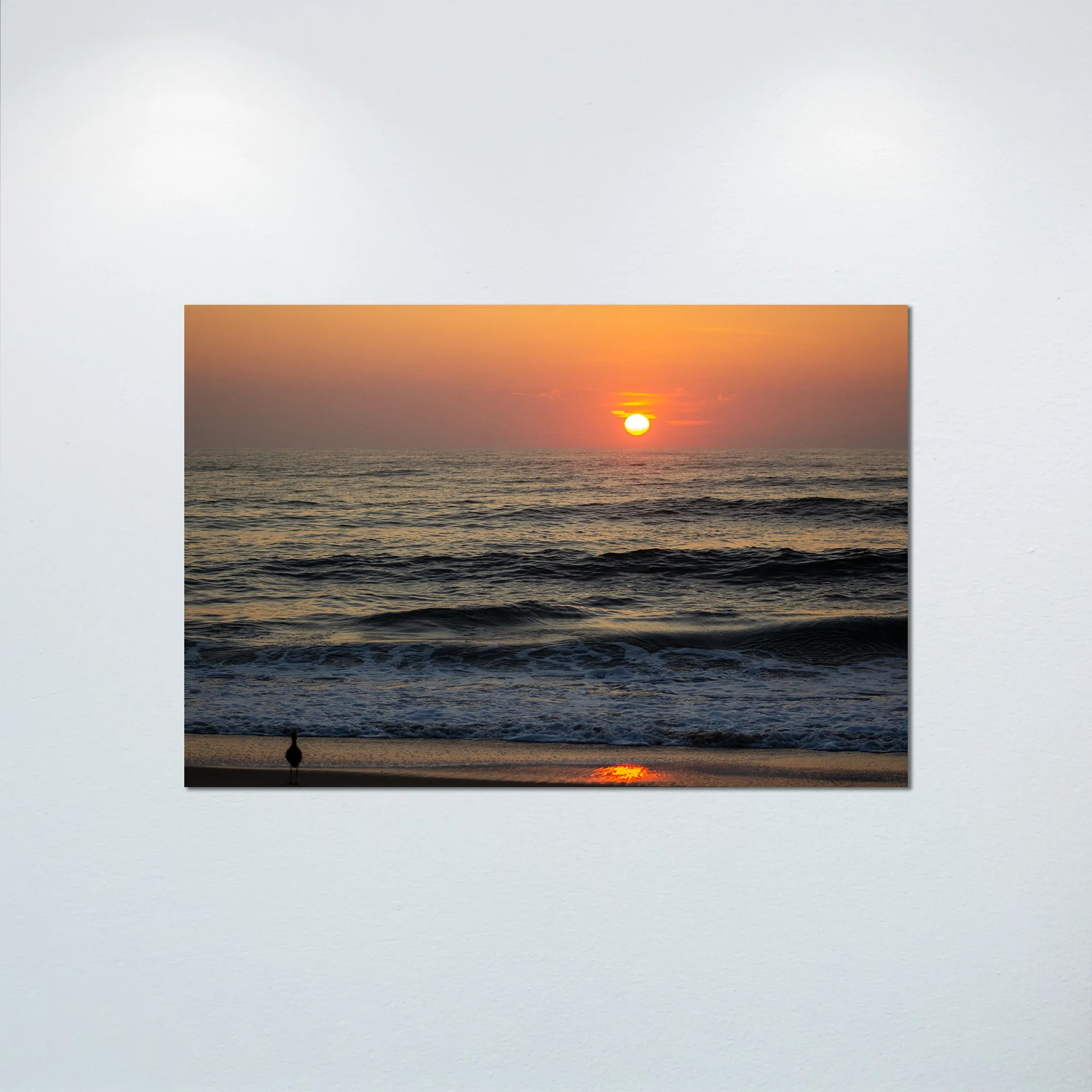 1:1 Willet Watching Sunrise- Poster & Canvas.jpg