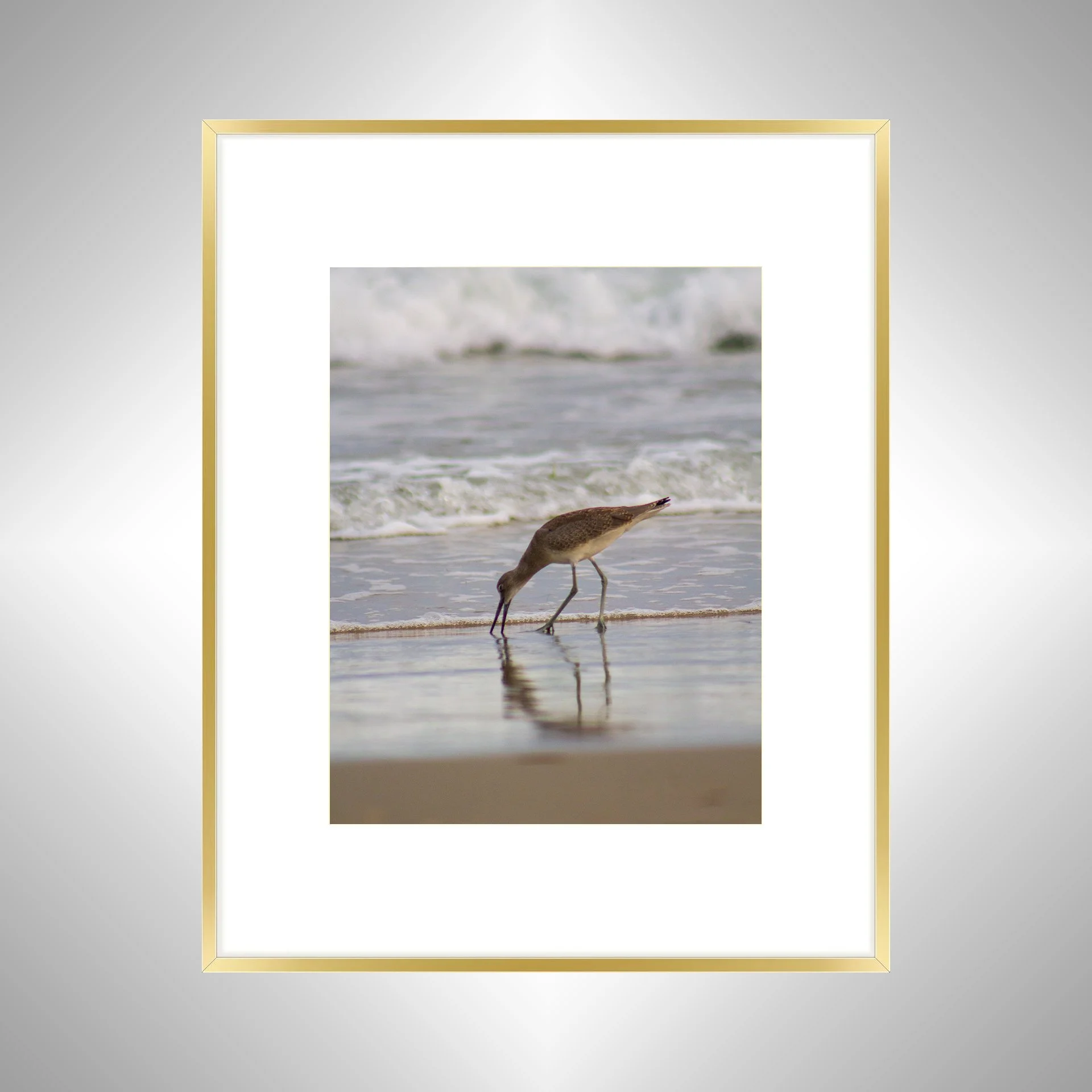 1:1 Willet Eating Reflection- Gold w: Border.jpg