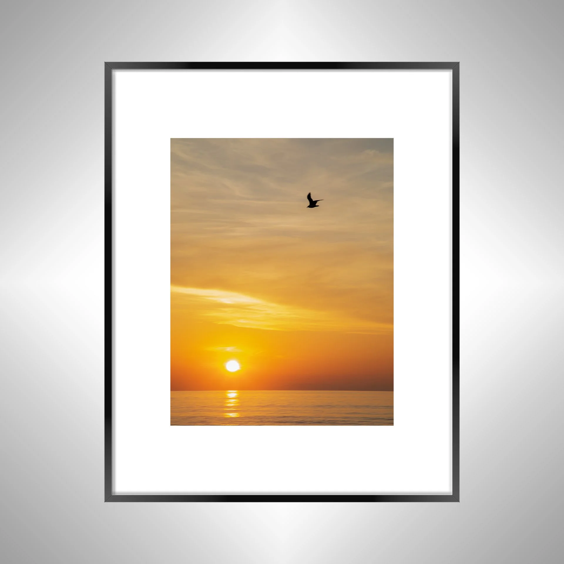 1:1 Seagull Sunrise- Black w: Border.jpg