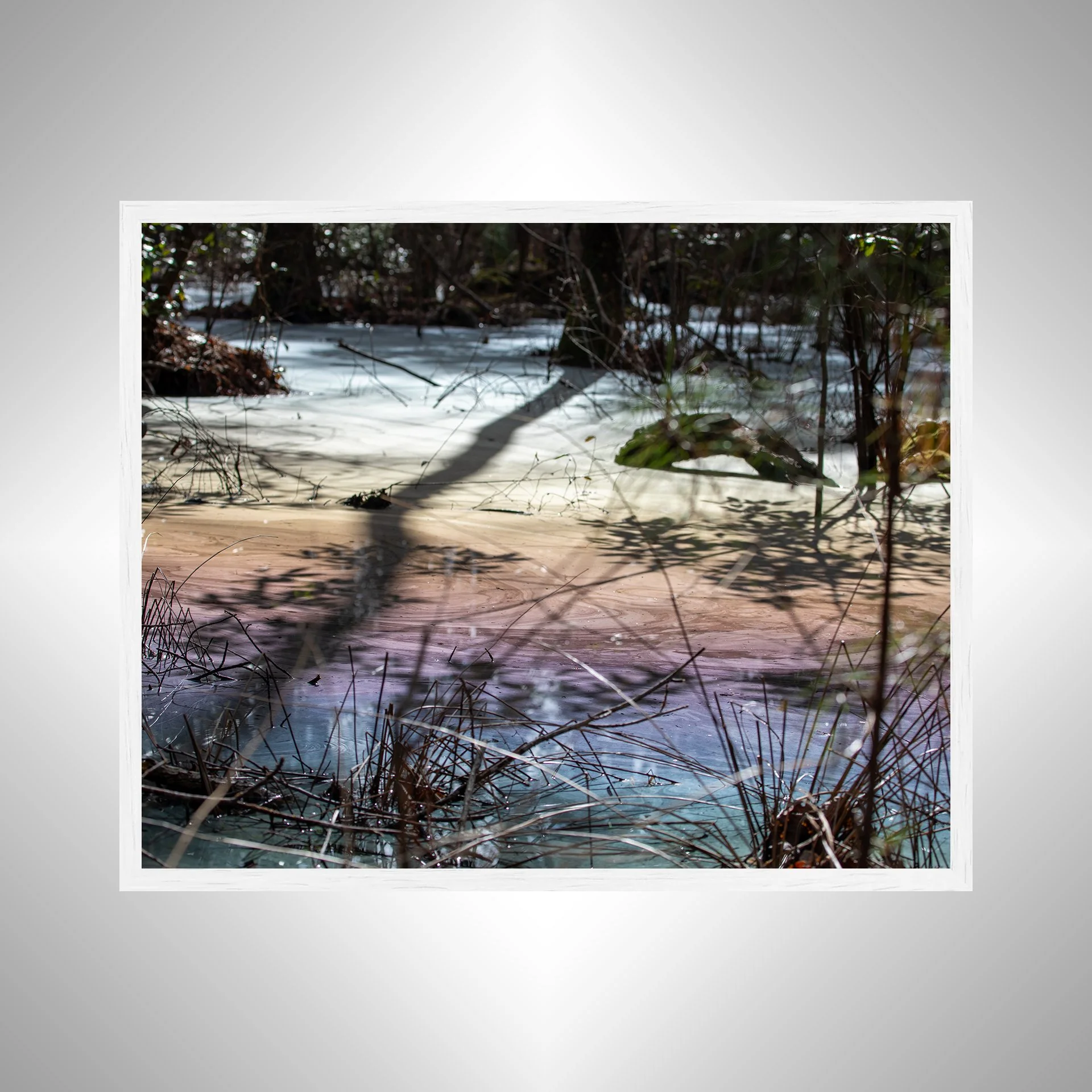 1:1 Rainbow Water at Seashore State Park- White.jpg