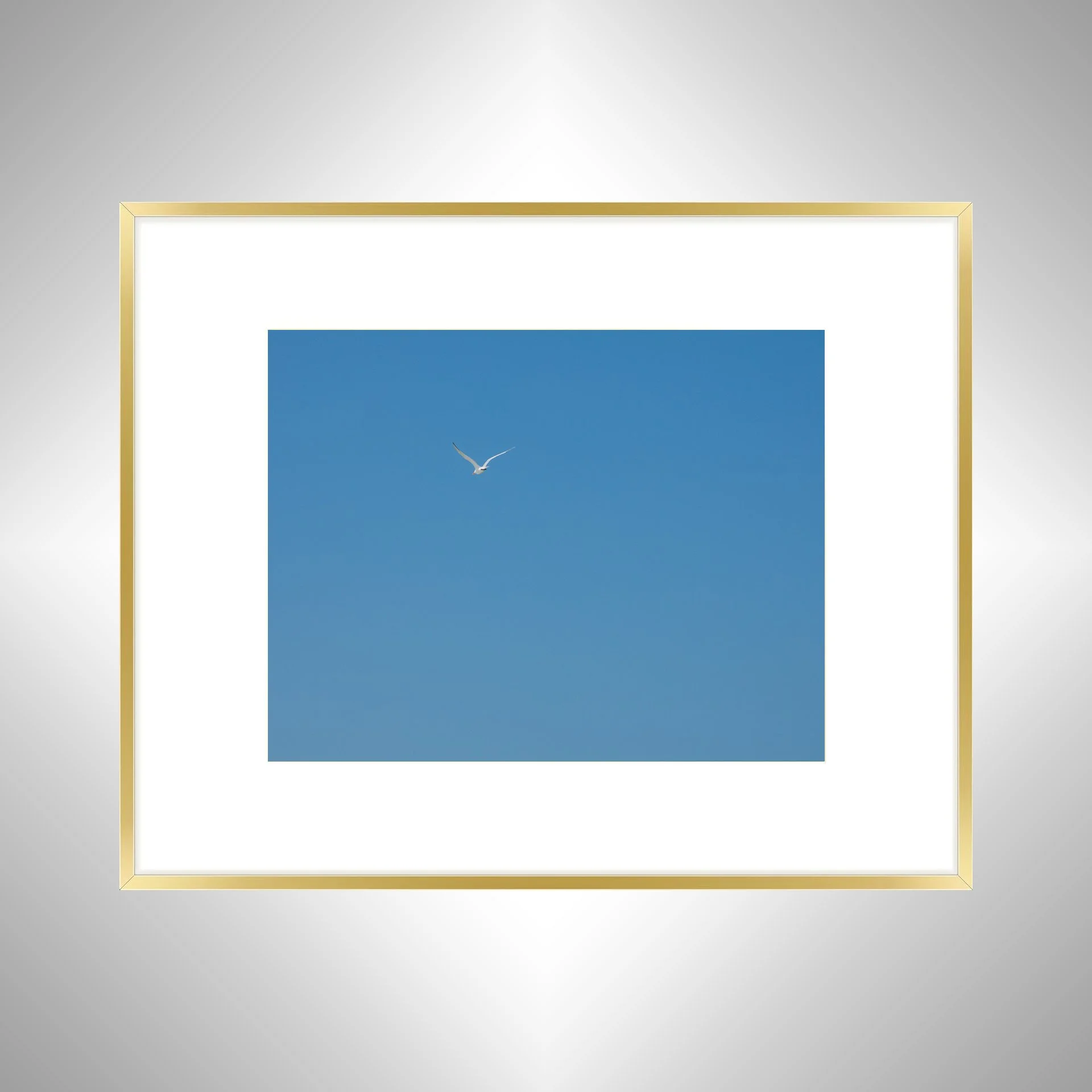 1:10 Seagull Flying Away- Gold w: Border.jpg