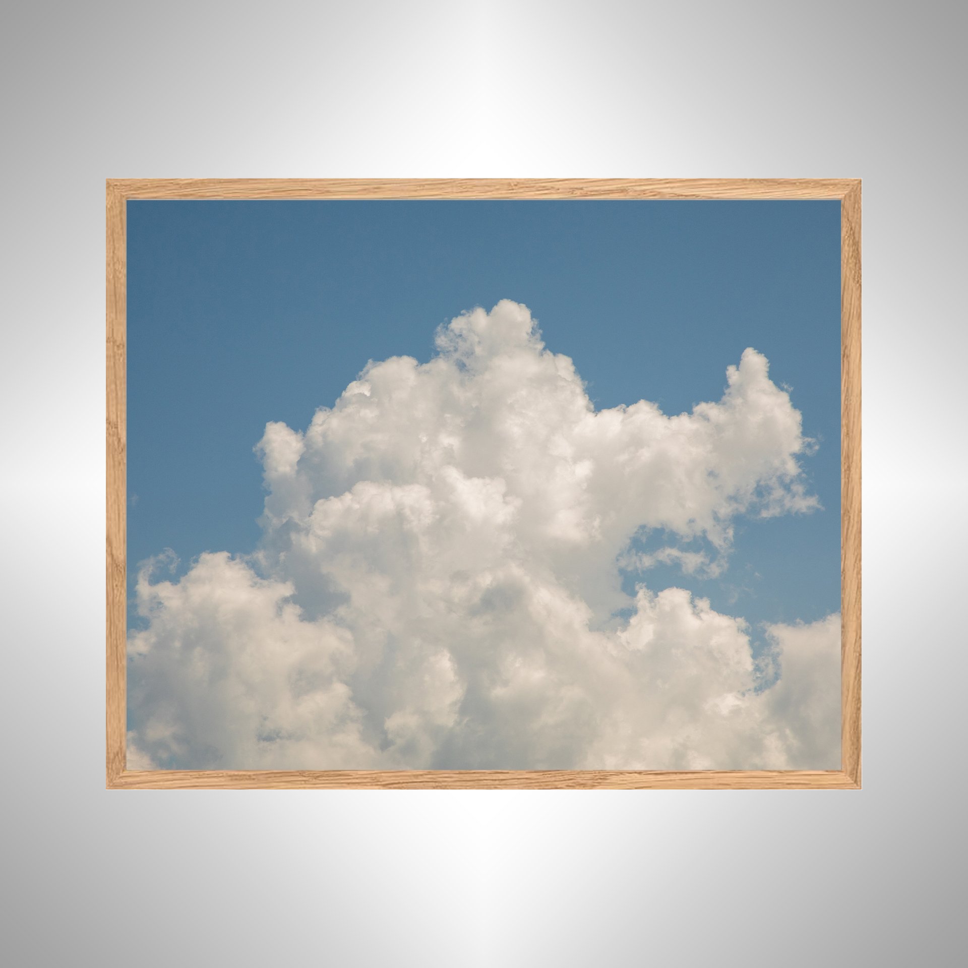 1:10 Natural Mushroom Cloud- WHITE copy NATTY.jpg