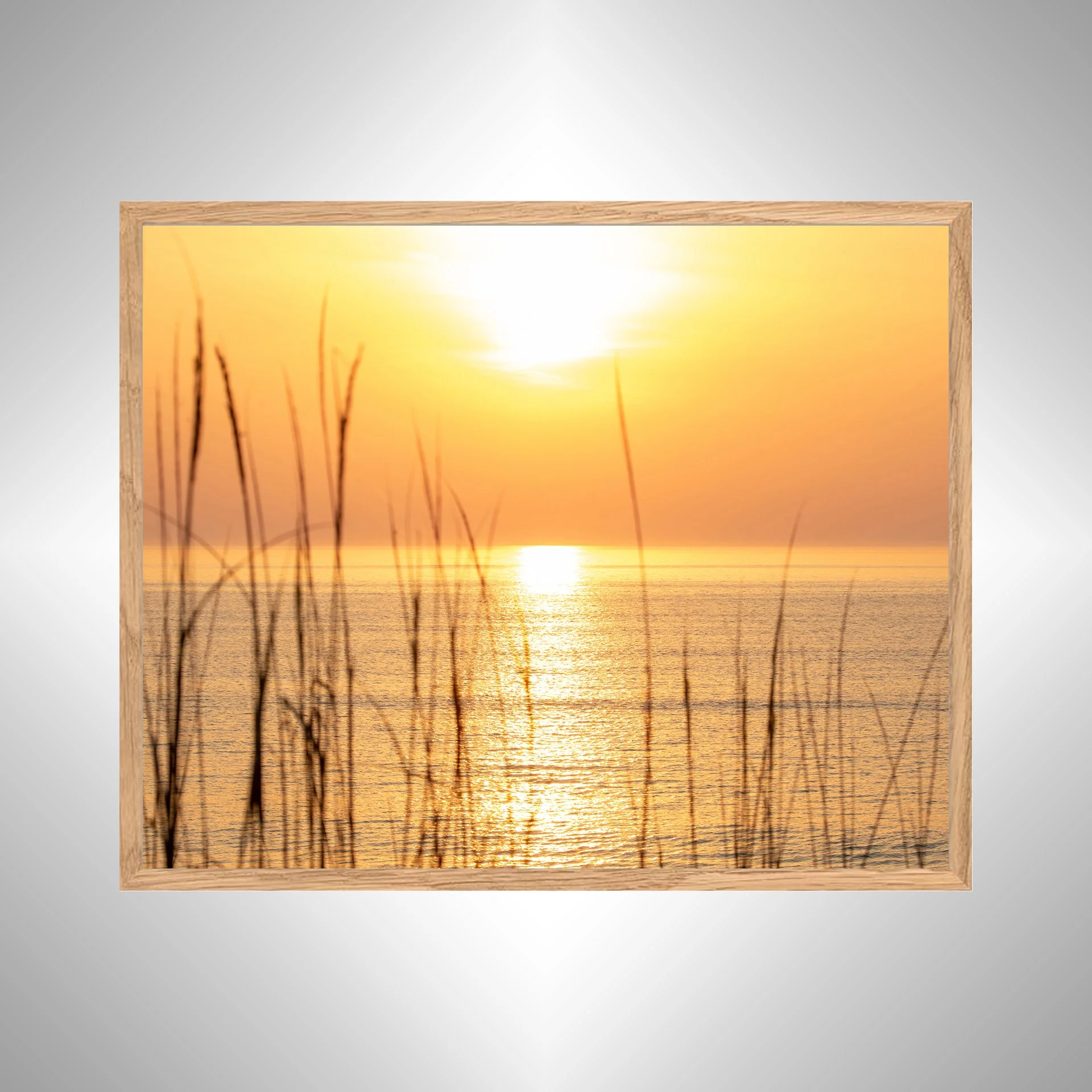 1:1 Sunrise thru Dunegrass- White copy NATTY.jpg