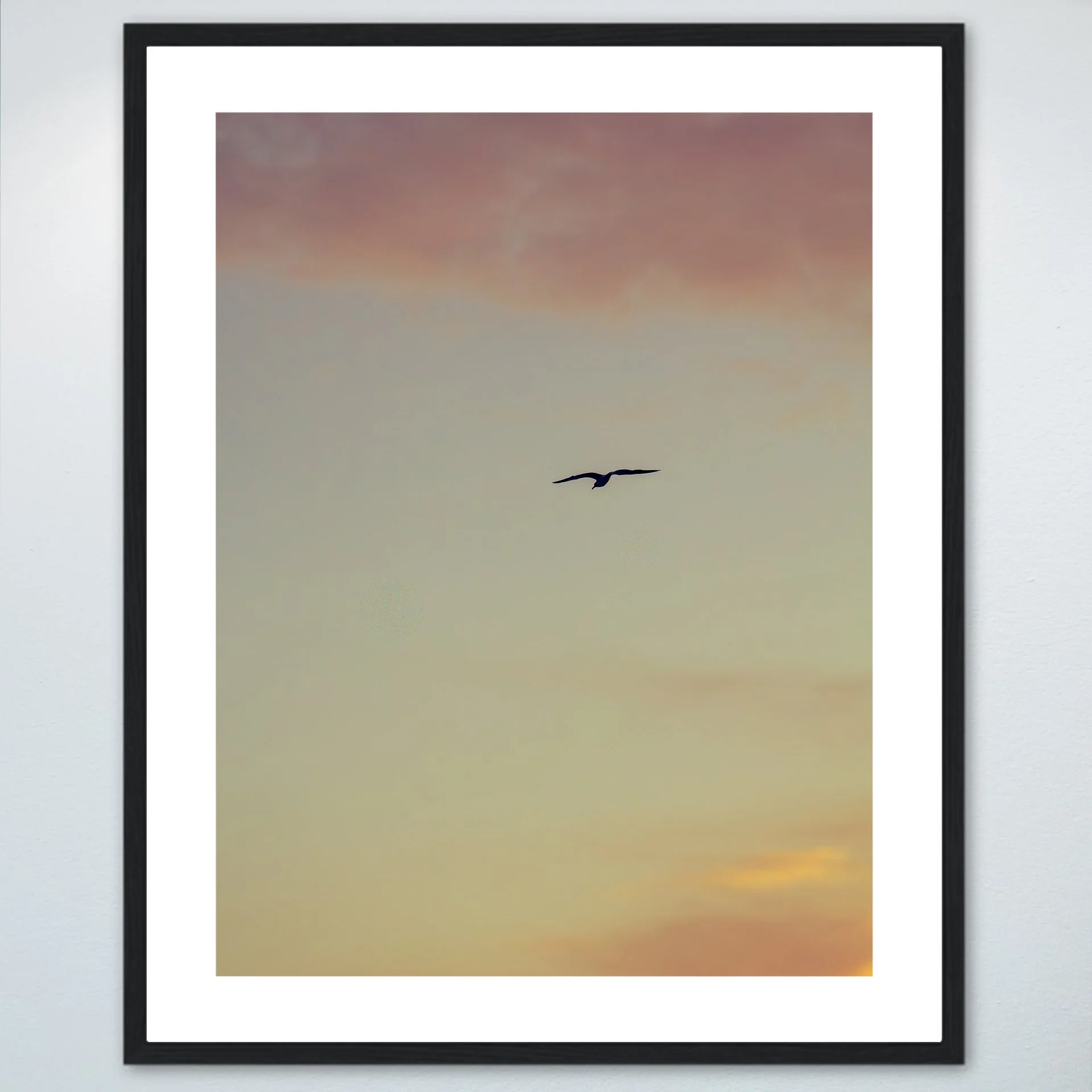 1:1 Seagull Soaring towards Pink & Orange Clouds- Wood w: Border.jpg