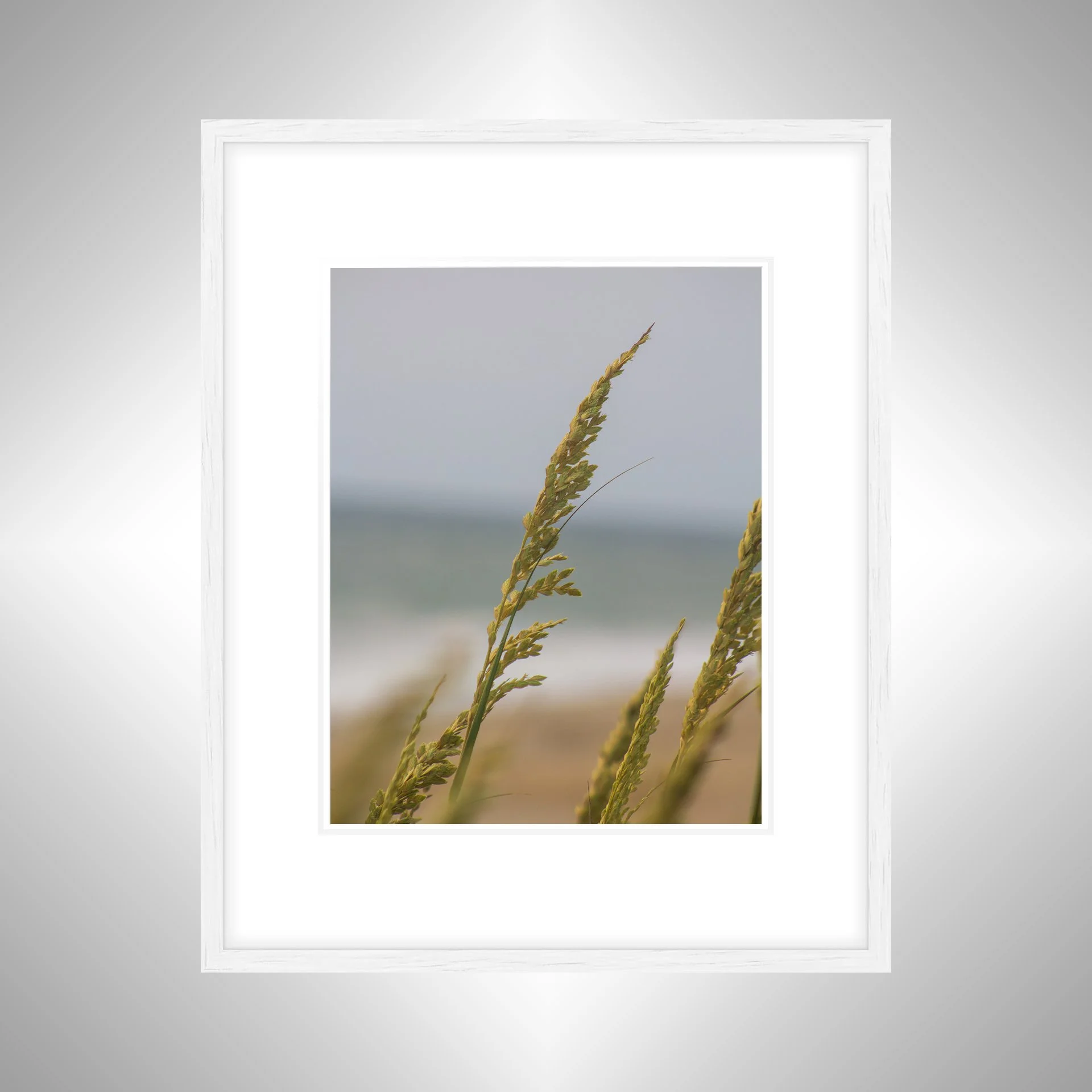 1:1 Rodanthe Dune Oats Single- White w: Border.jpg