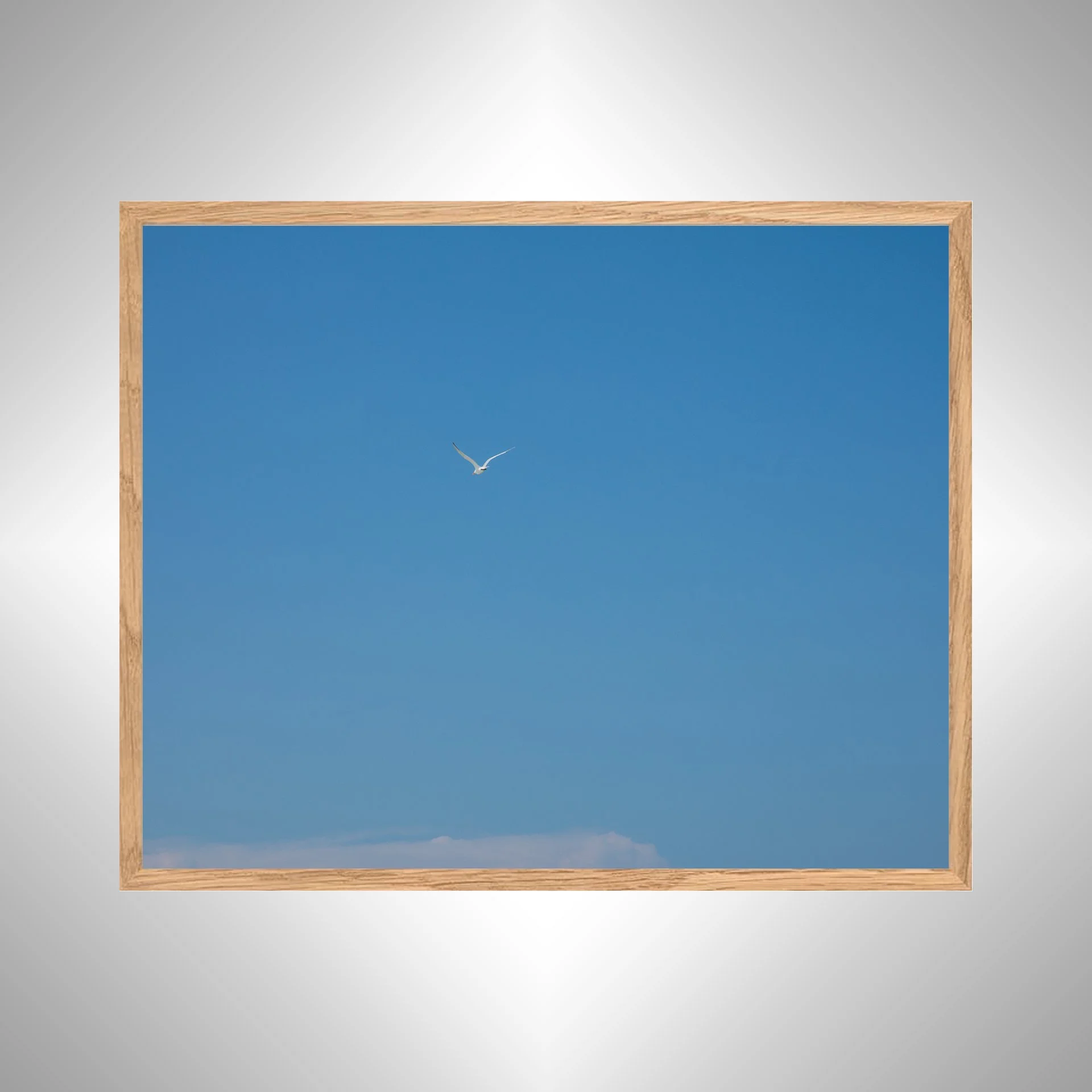 1:10 Seagull Flying Away- White copy NATTY.jpg