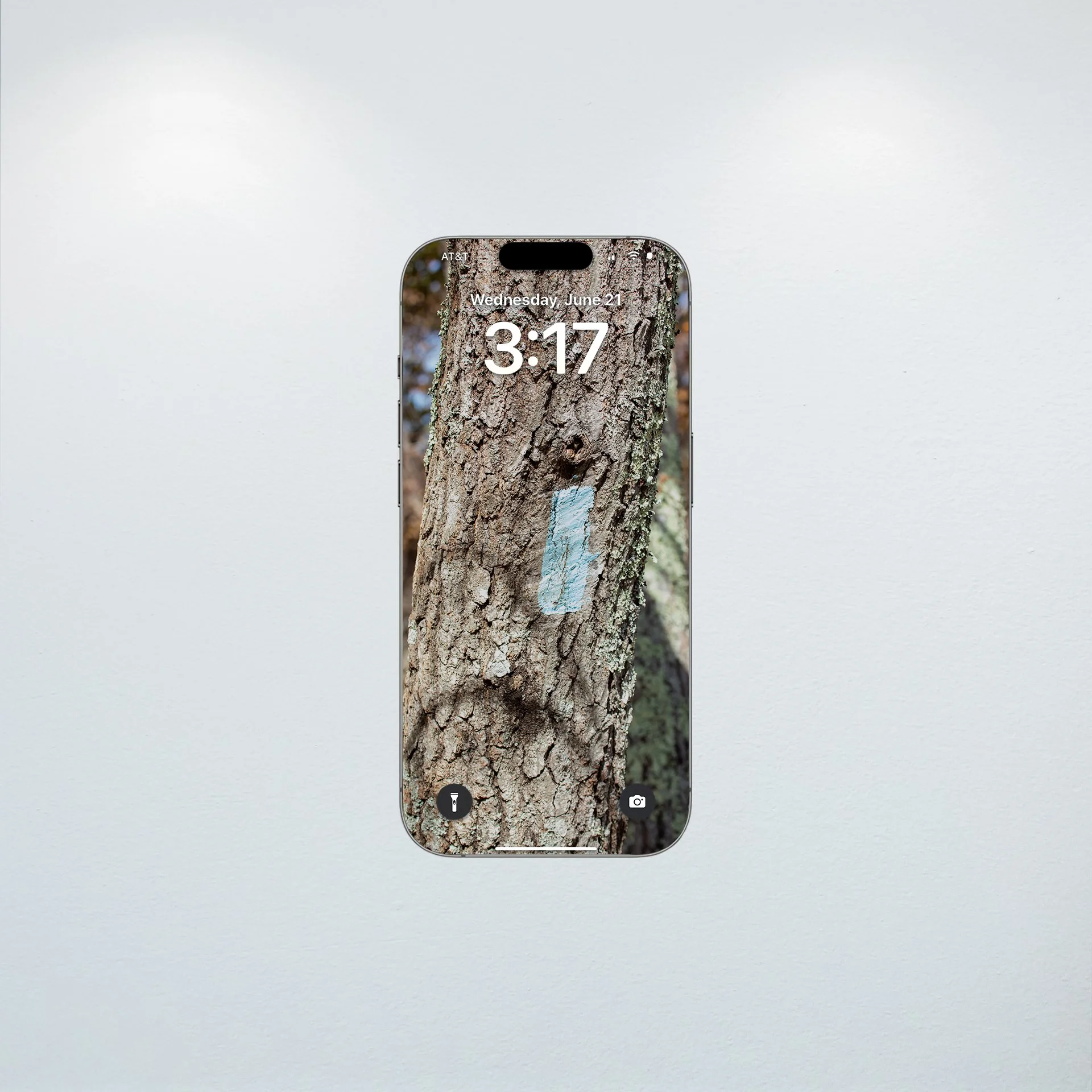 1:10 Appalachian Trail Blaze- Wallpaper.jpg