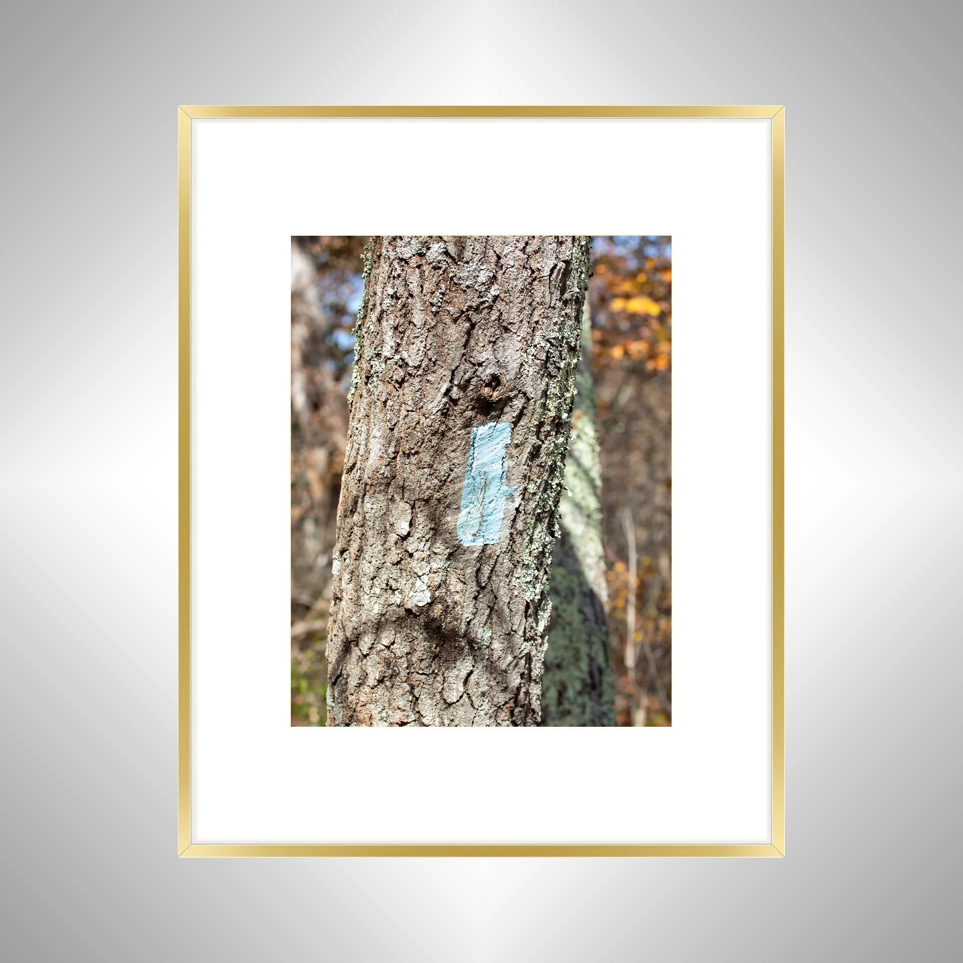 1:10 Appalachian Trail Blaze- Solg w: Border.jpg