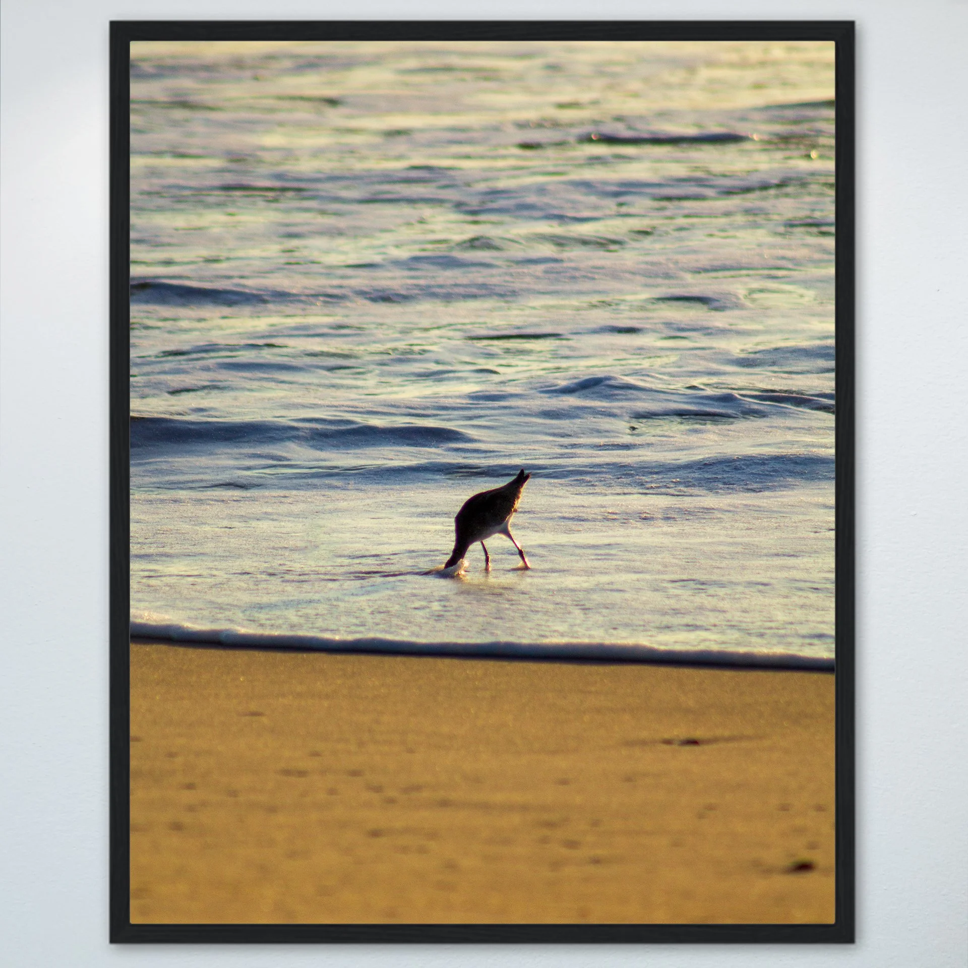 1:1 Willet Hunting- Wood.jpg