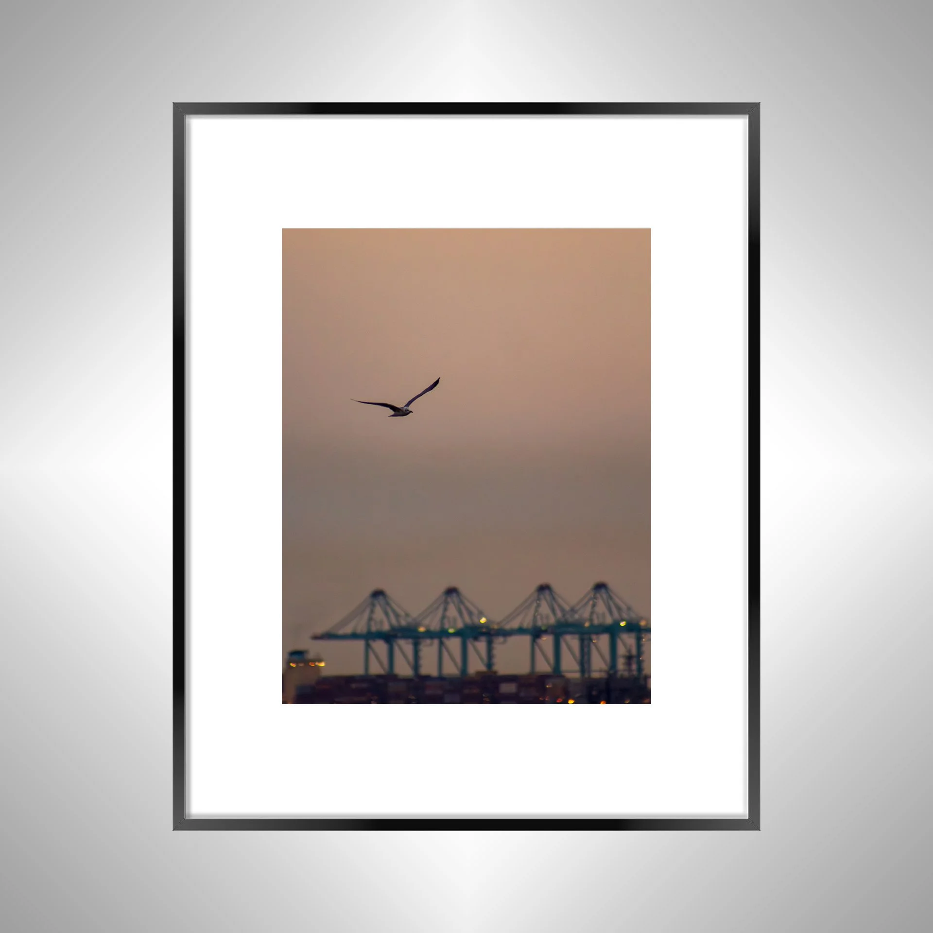 1:1 Seagull with Terminal Cranes- Black w: Border.jpg