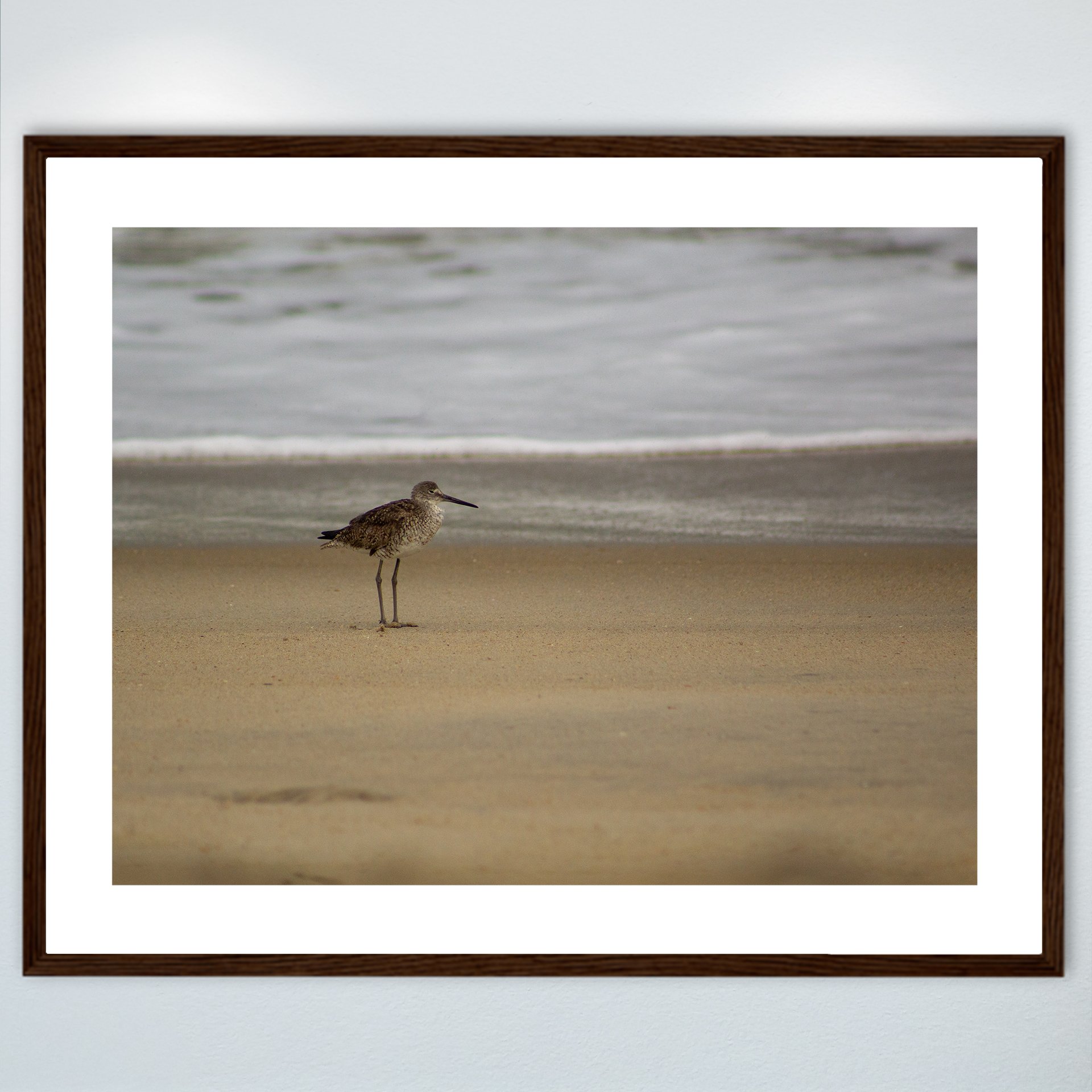 1:10 Willet on Beach- Wood w: Border.jpg