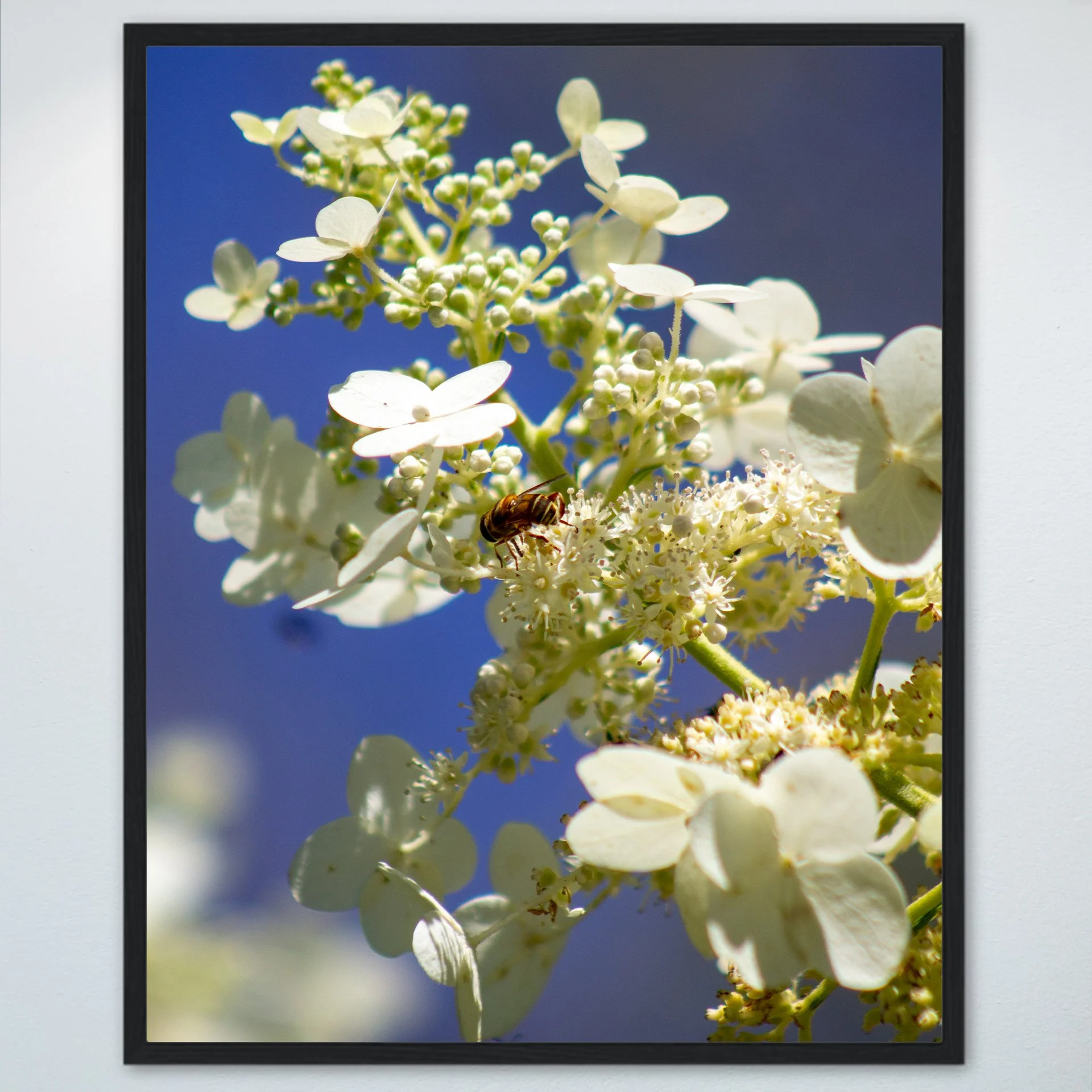 1:1 Pollinator in Sun- Wood.jpg