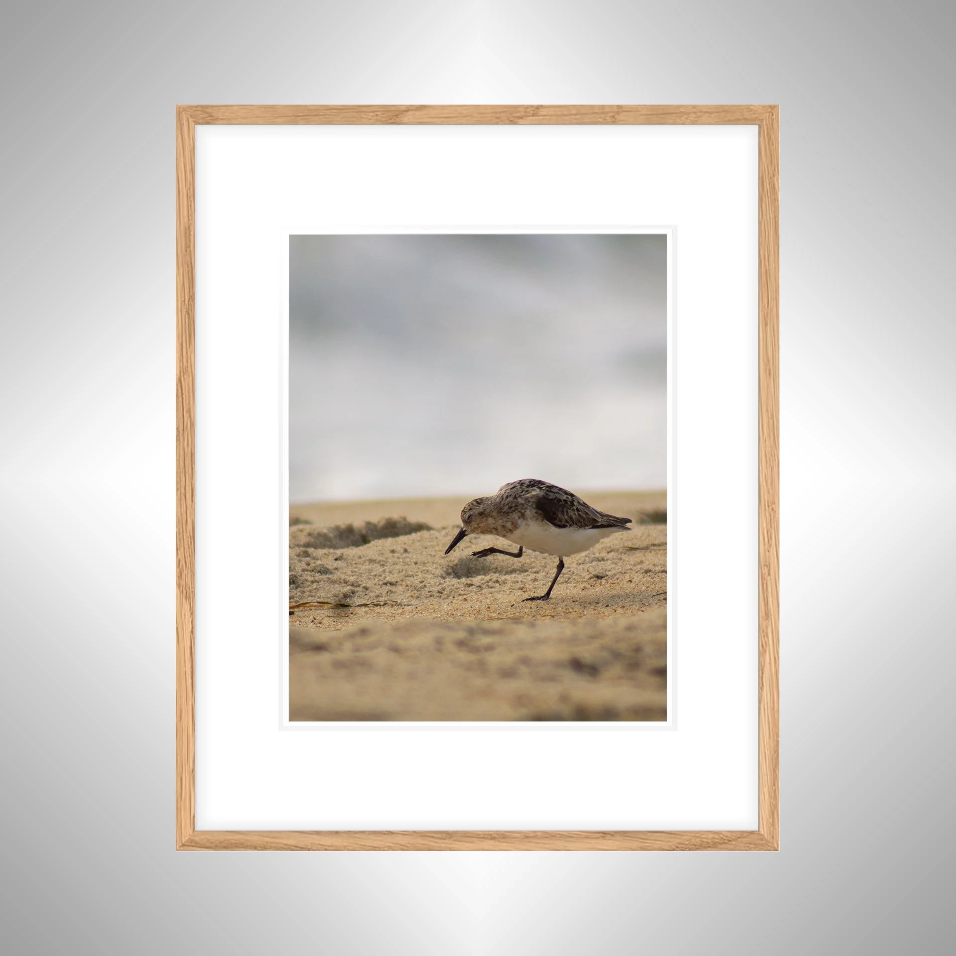 1:1 Itchy Willet- White Wood w: Border copy NATTY.jpg