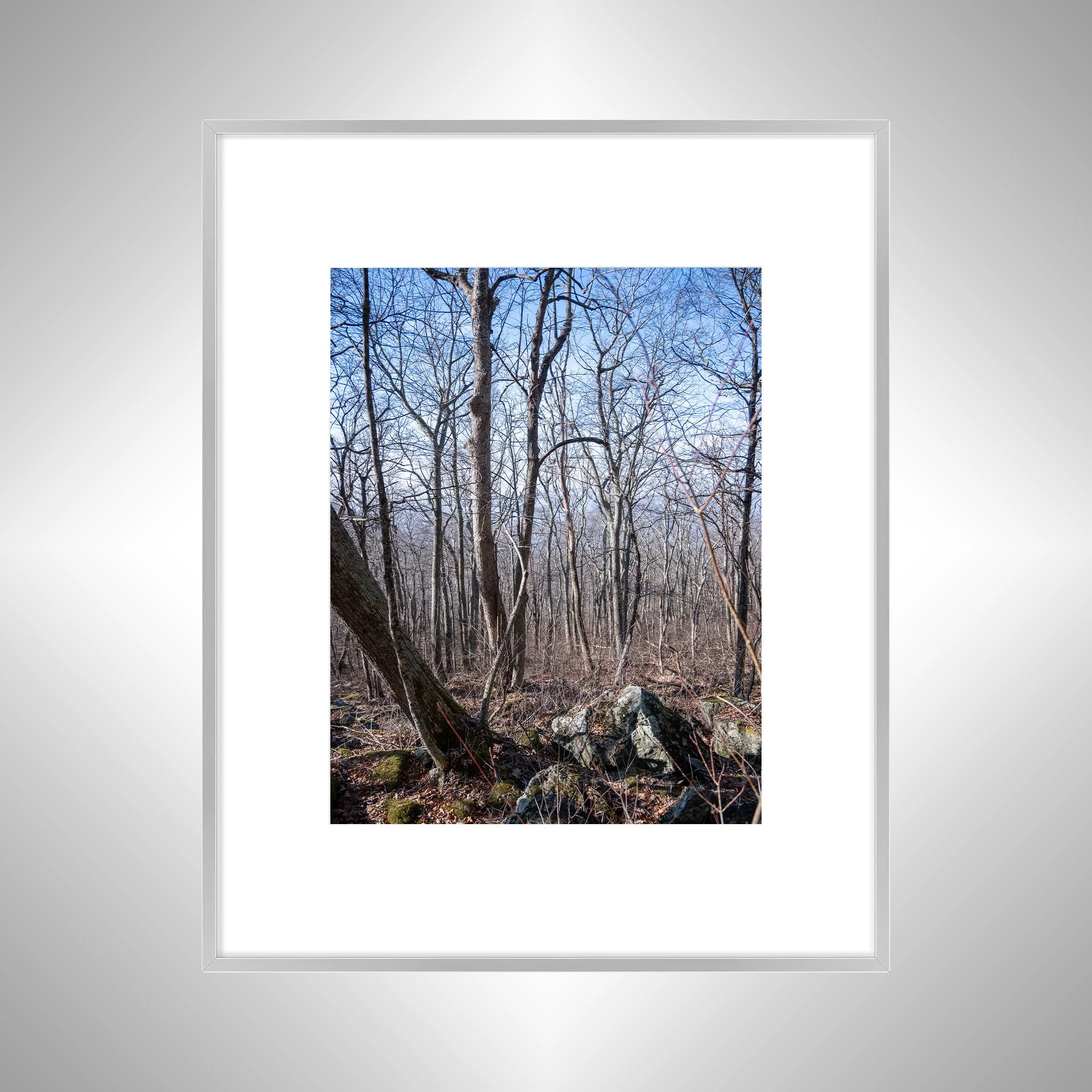 1:1 Shenandoah National Park Forest during Winter- Silver w: Border.jpg