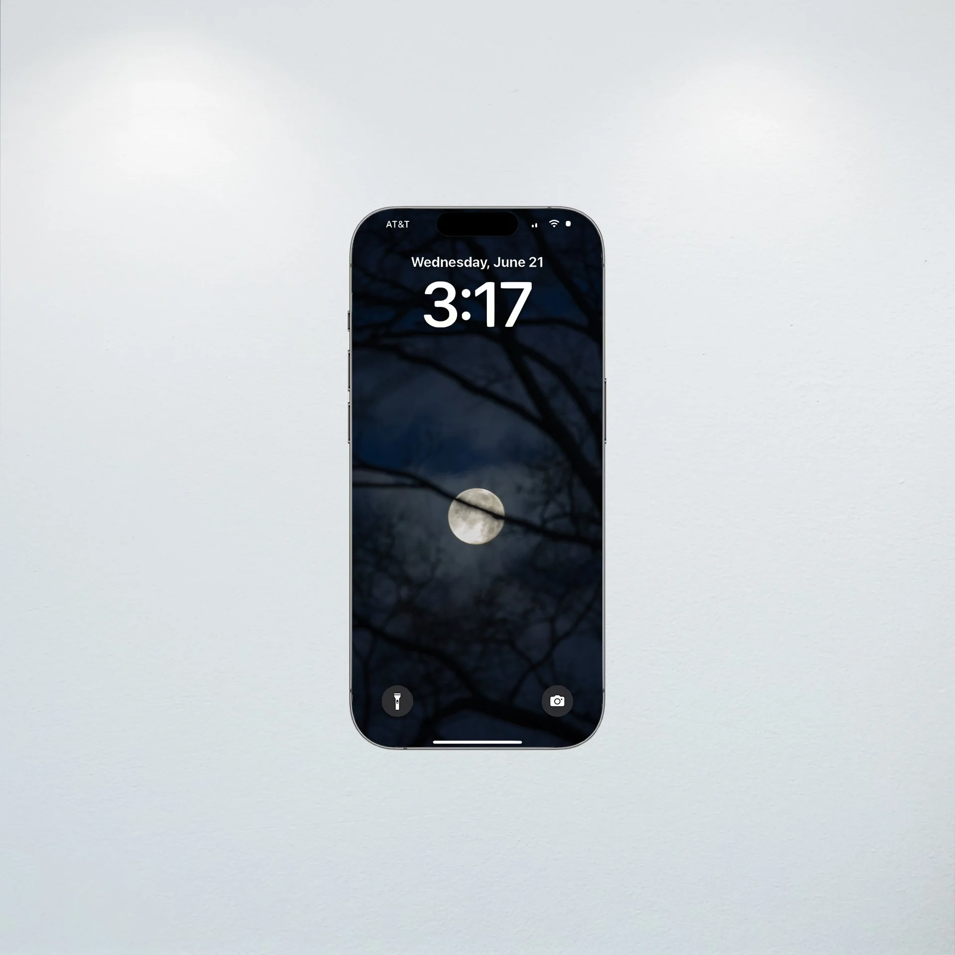 1:10 Moon thru Tree Branches- Wallpaper.jpg