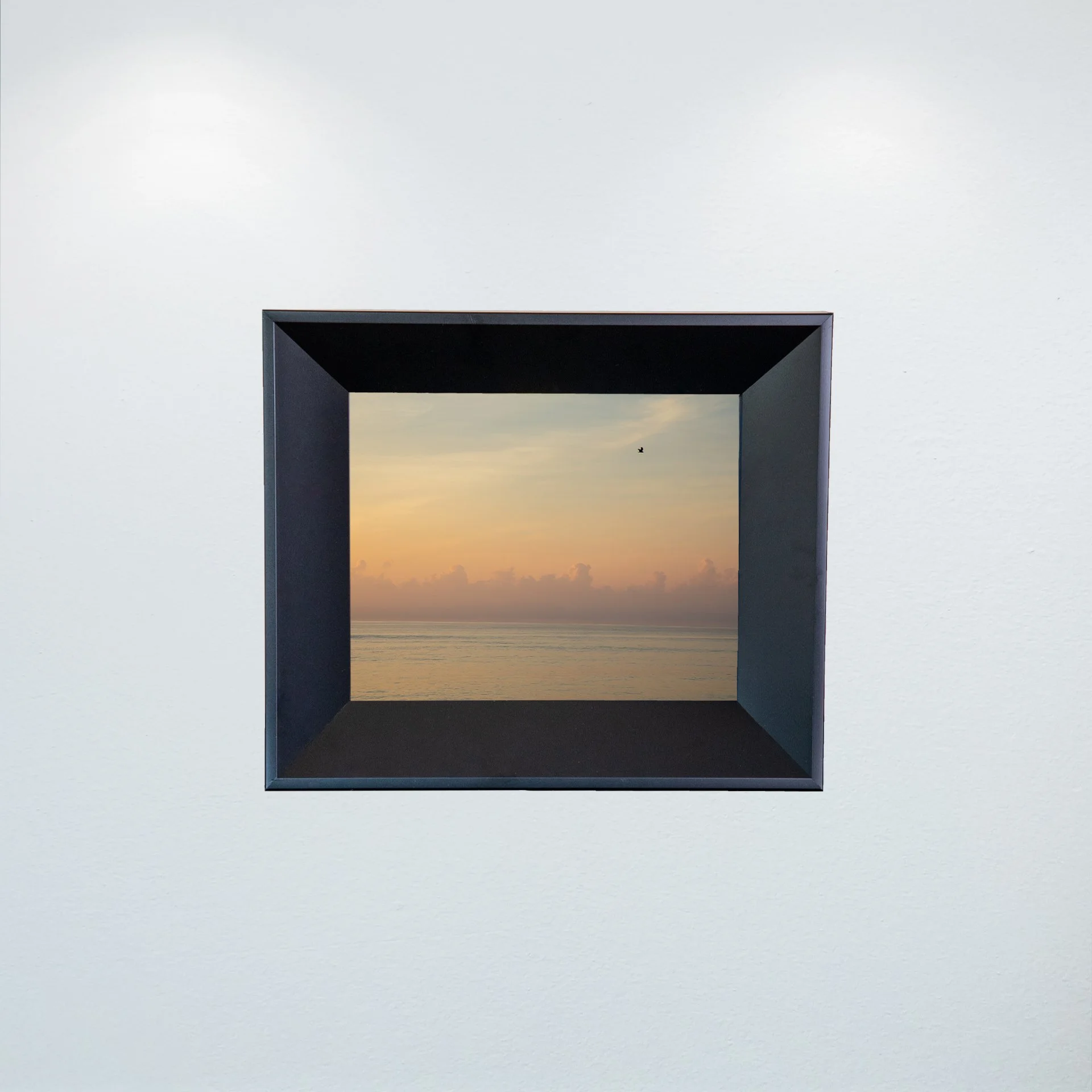 1:1 Clouds on the Horizon with Seagull- Mini.jpg