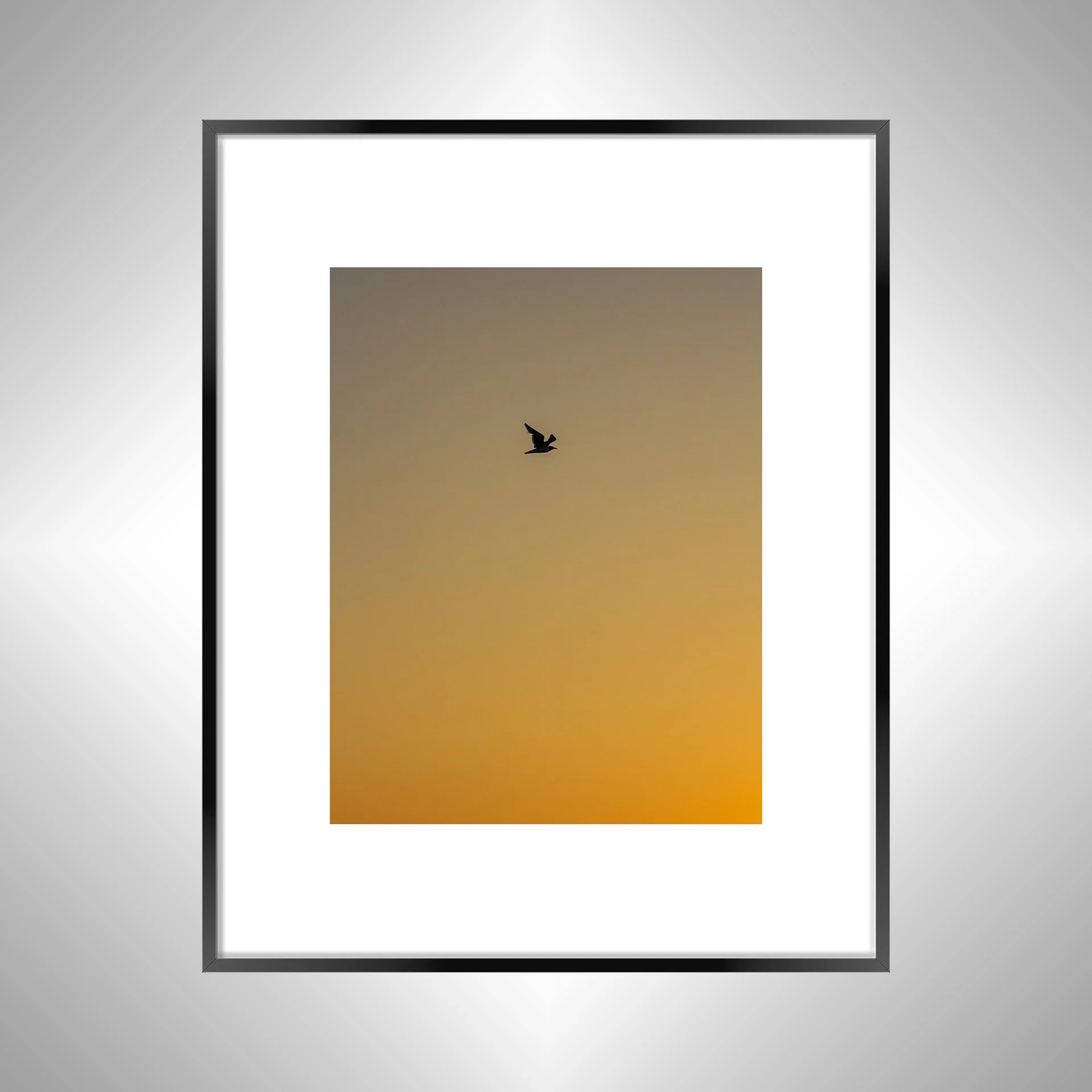 1:1 Seagull Silhouette Soaring South with Orange Gradient Black w: Border.jpg