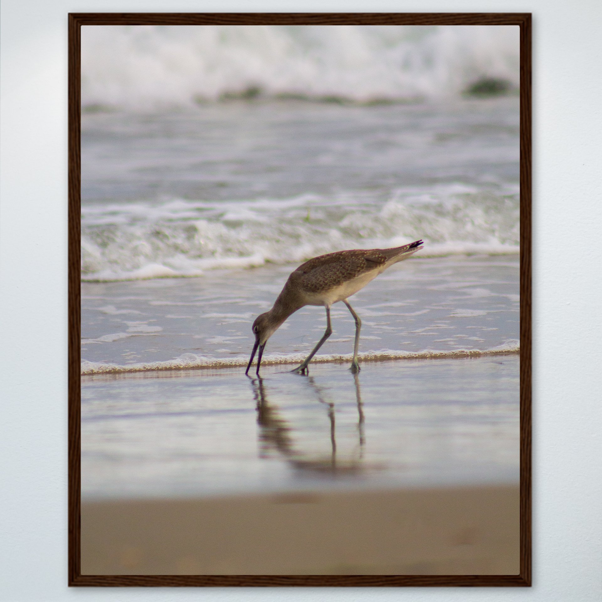 1:1 Willet Eating Reflection- Wood.jpg