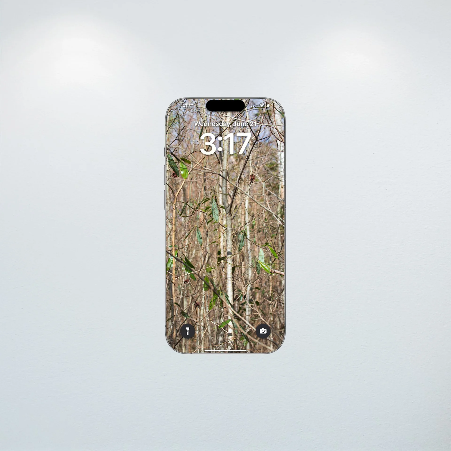 1:10 Hermitage Foliage- Wallpaper.jpg