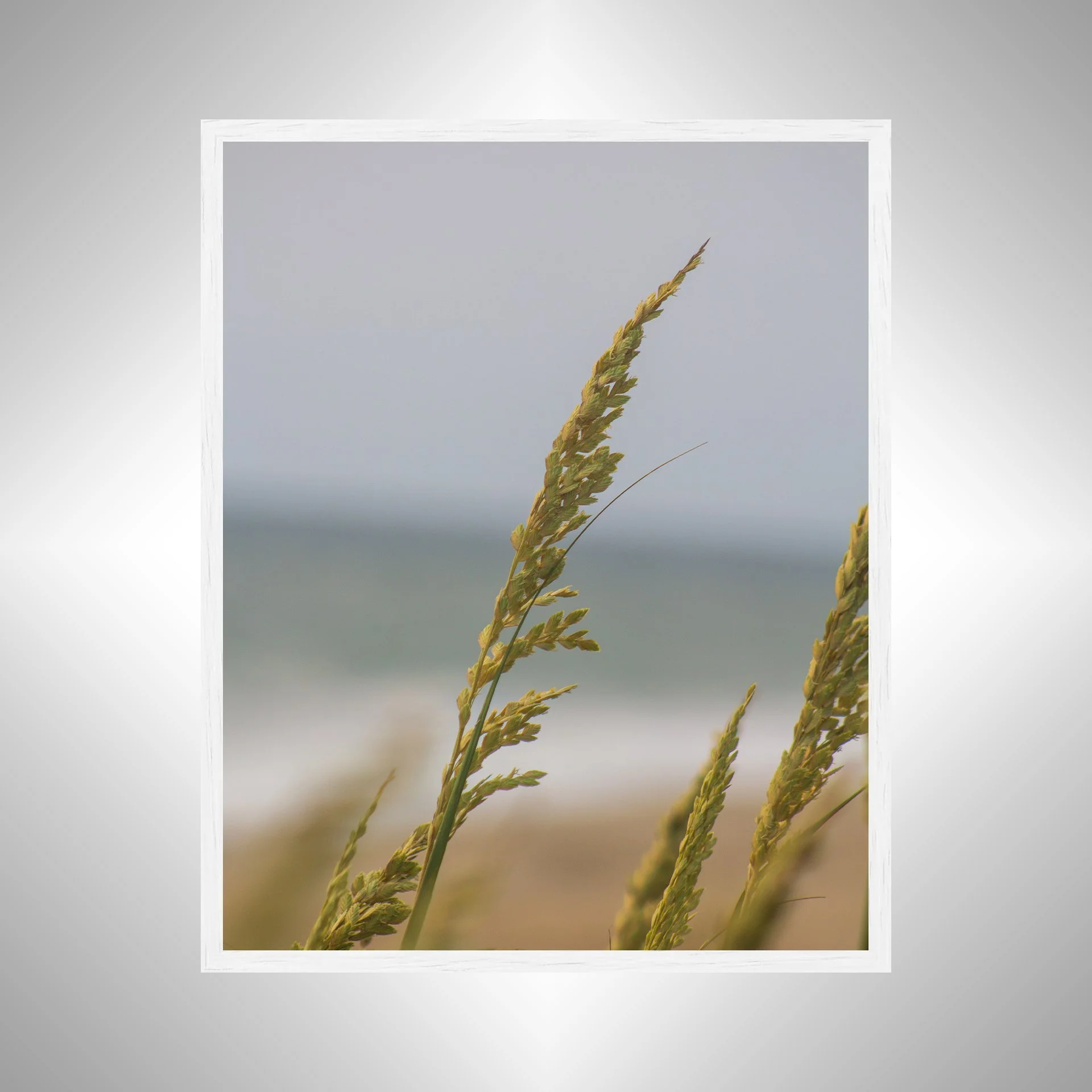 1:1 Rodanthe Dune Oats Single- White.jpg