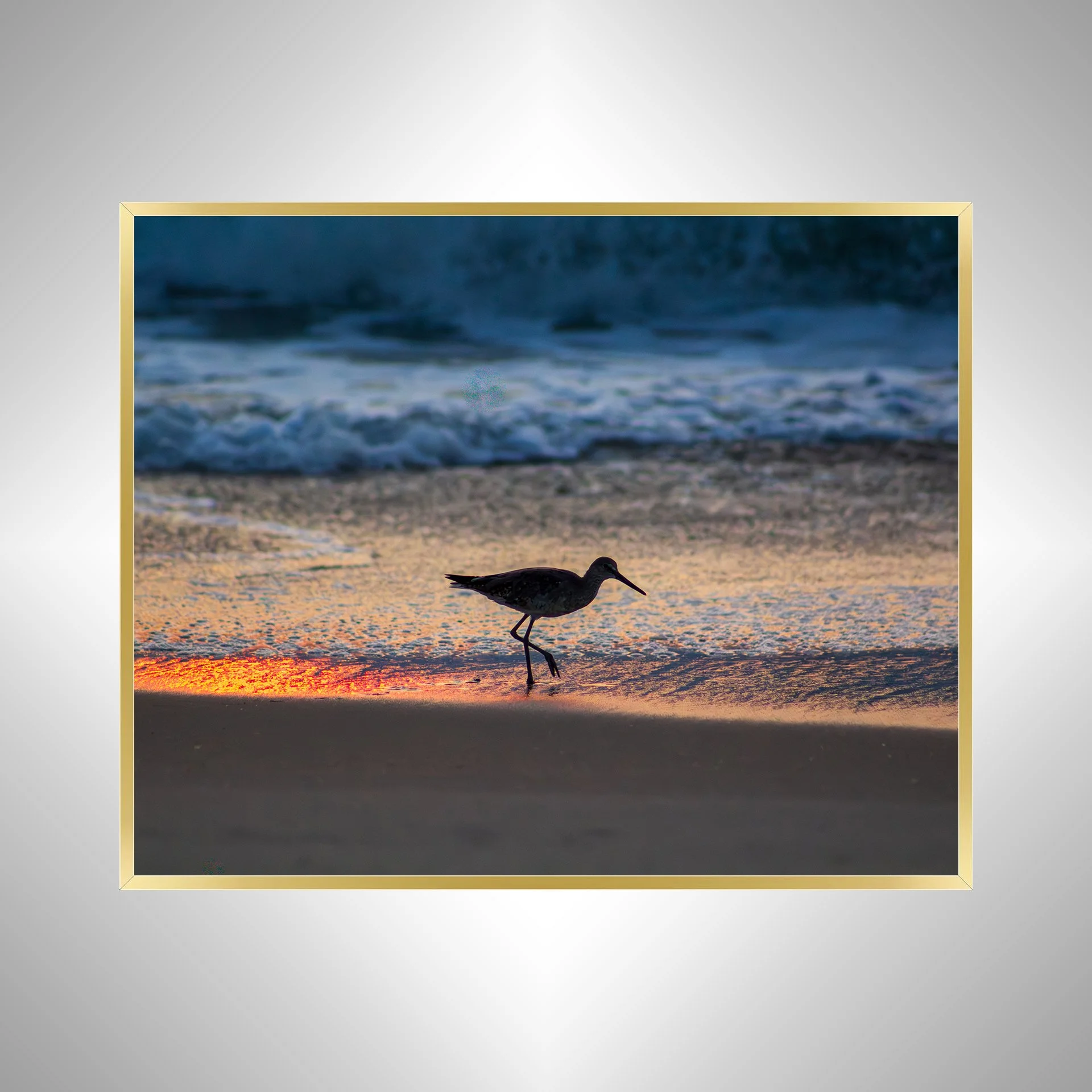 1:1 Willet Step- Gld.jpg
