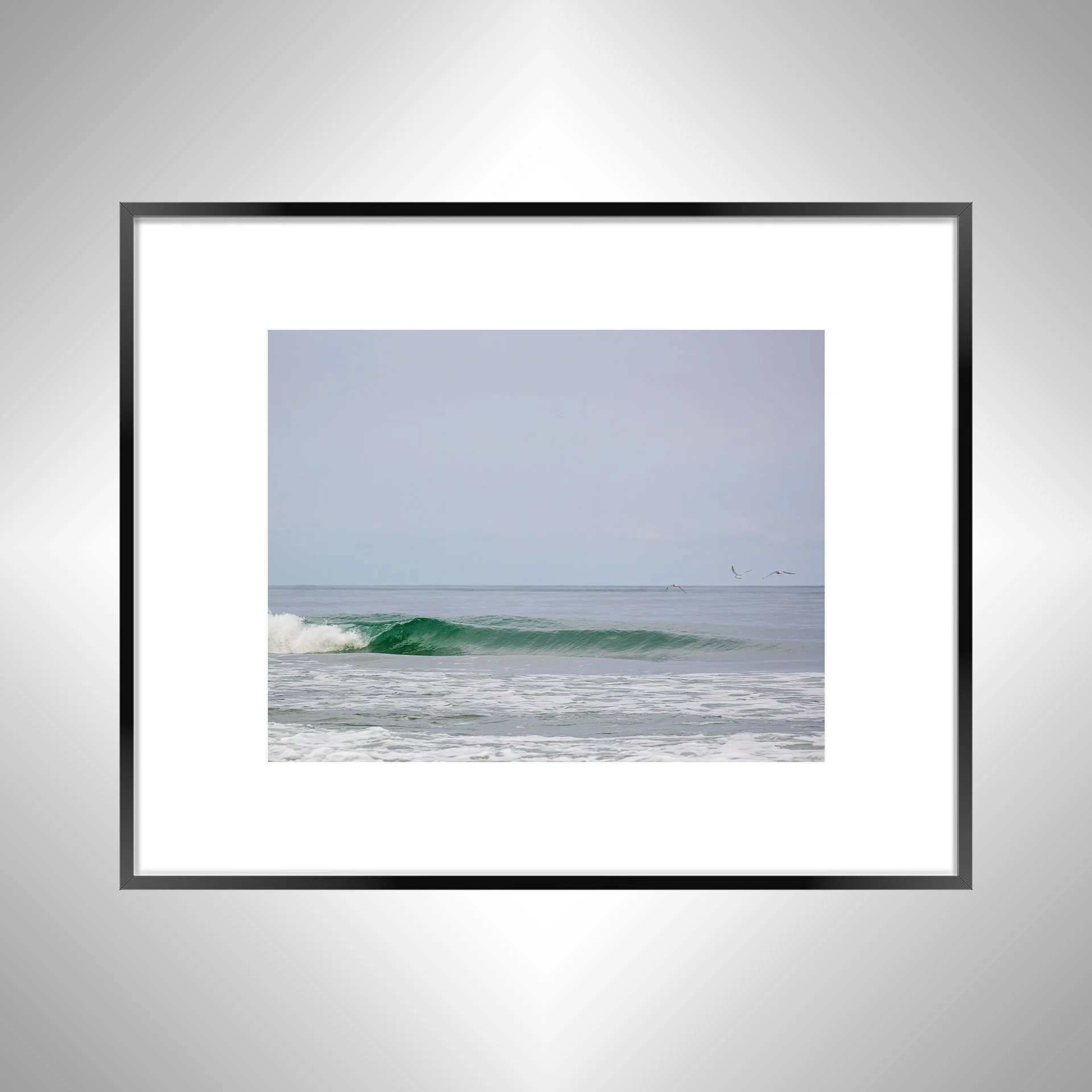 1:1 Trio of Seagulls Flying by Barrel- Black w: Border.jpg