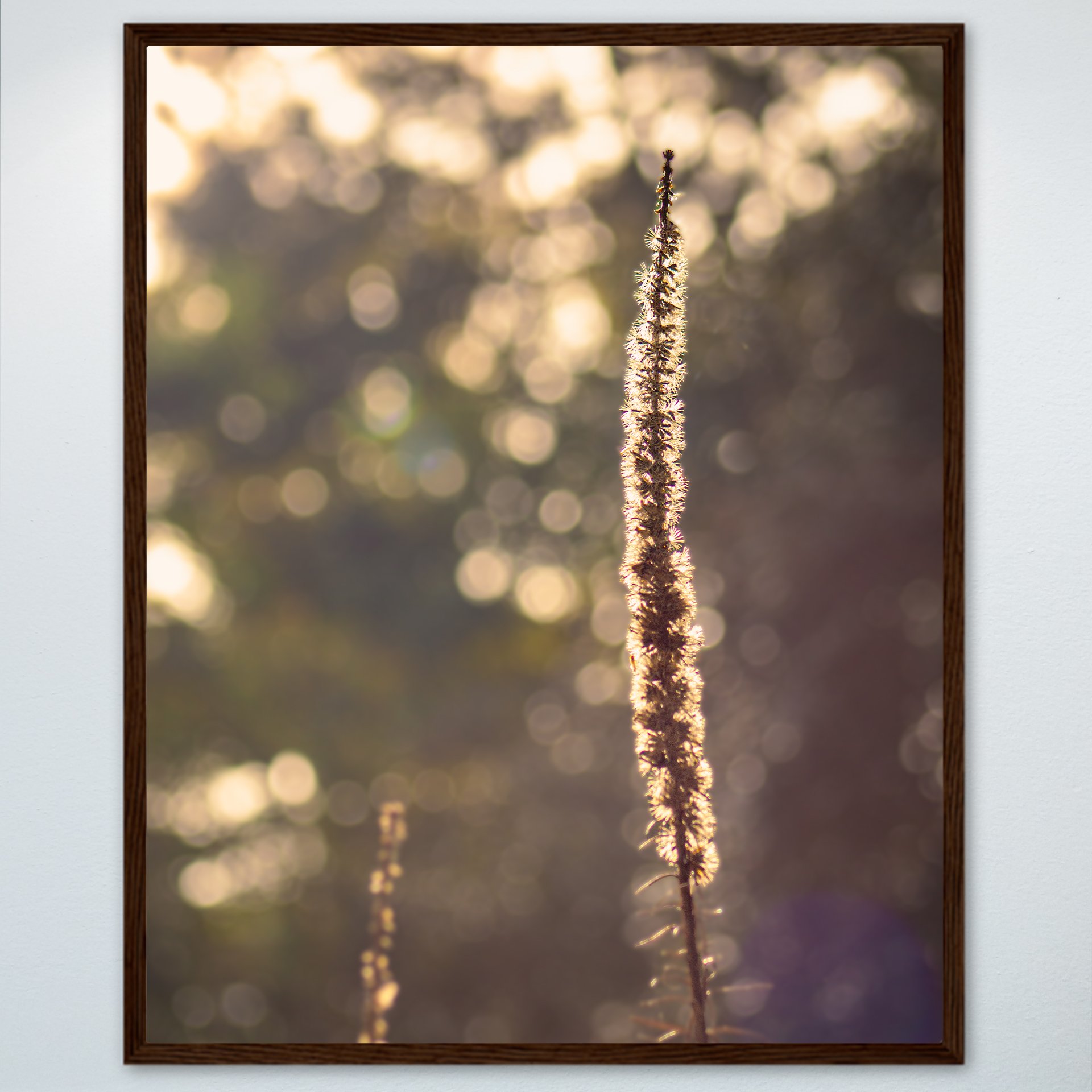 1:1 Foxglove in Winter- Wood.jpg