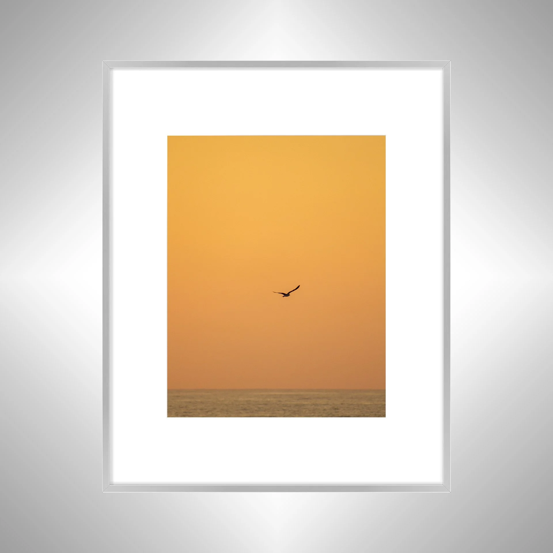 1:10 Seagull Flying on Ocean- Silver w: Border.jpg